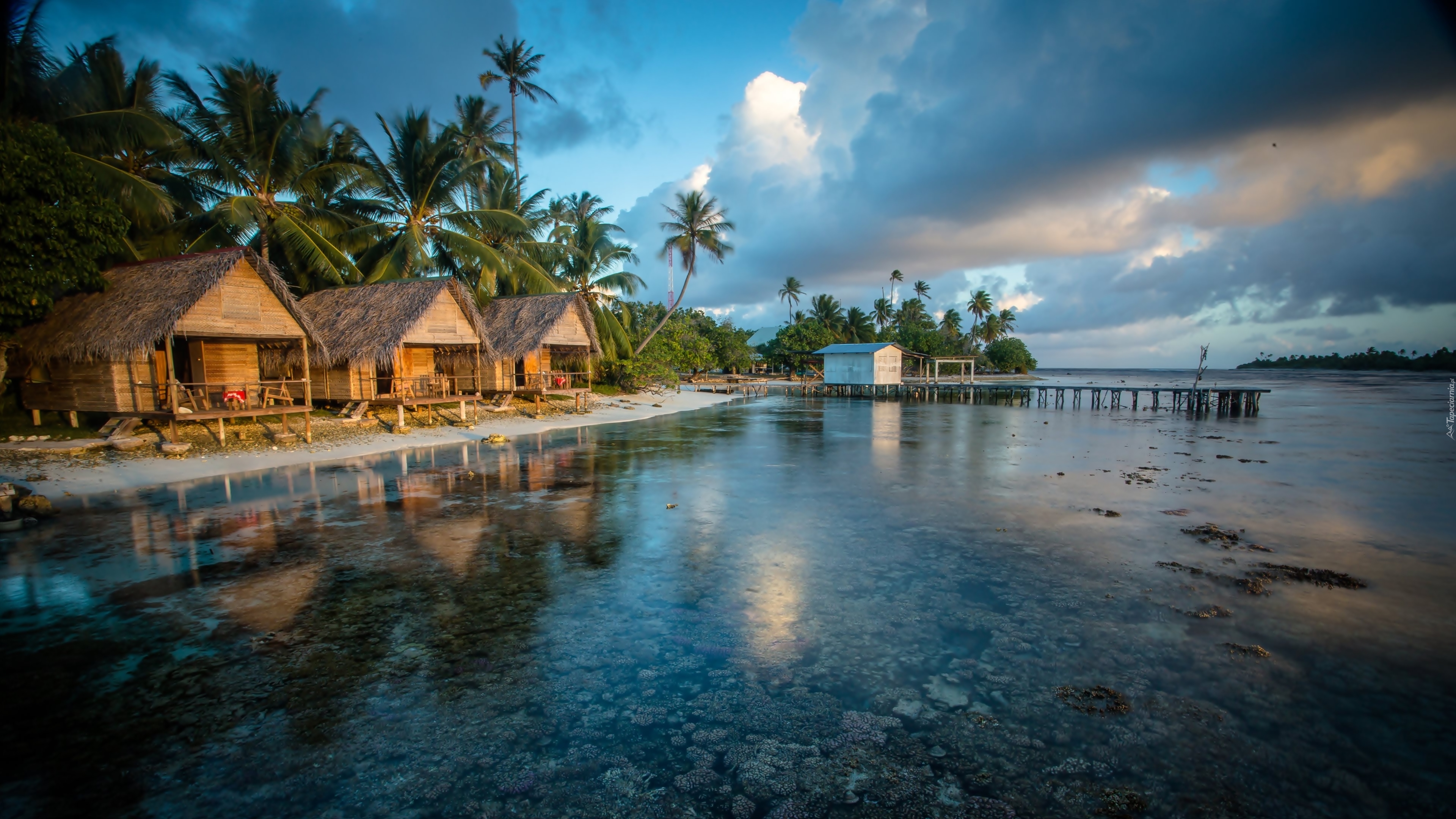 Malediwy, Ocean, Wyspy, Domki, Palmy