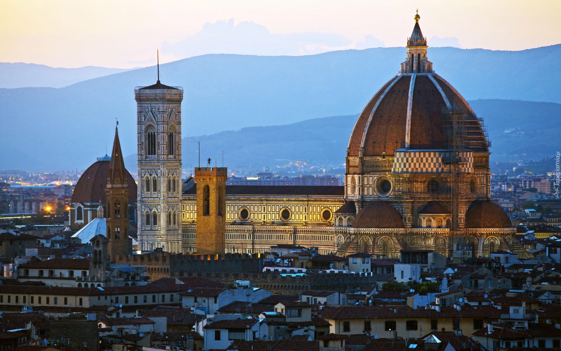 Katedra, Panorama, Miasta, Florencja, Włochy