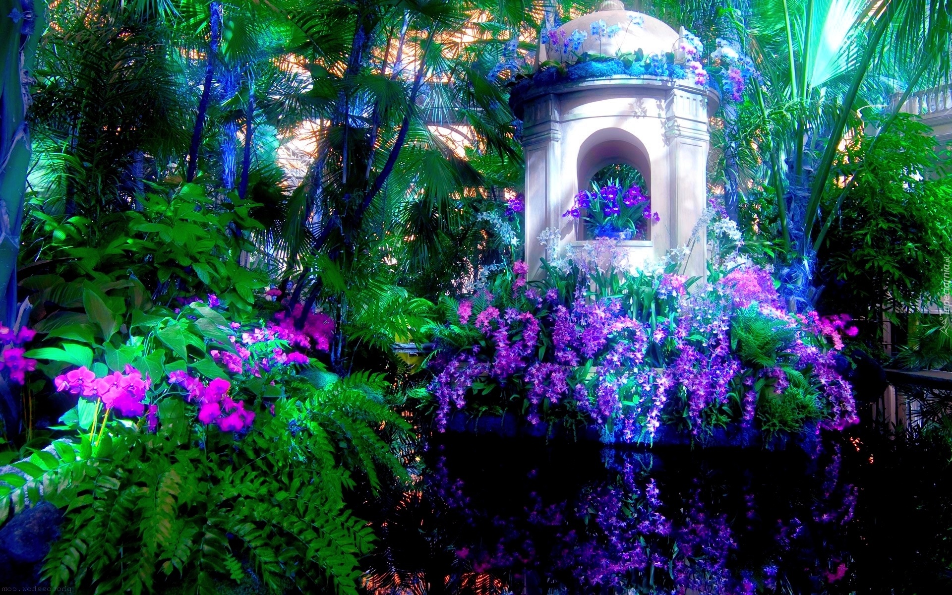 Ogród, Kwiaty, Palmy