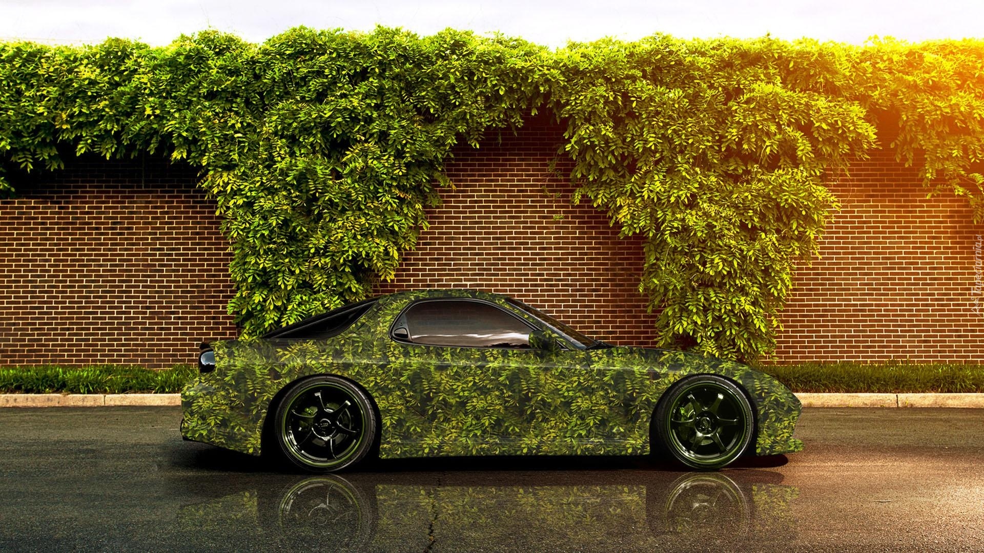 Mazda, RX-7, Rośliny, Mur