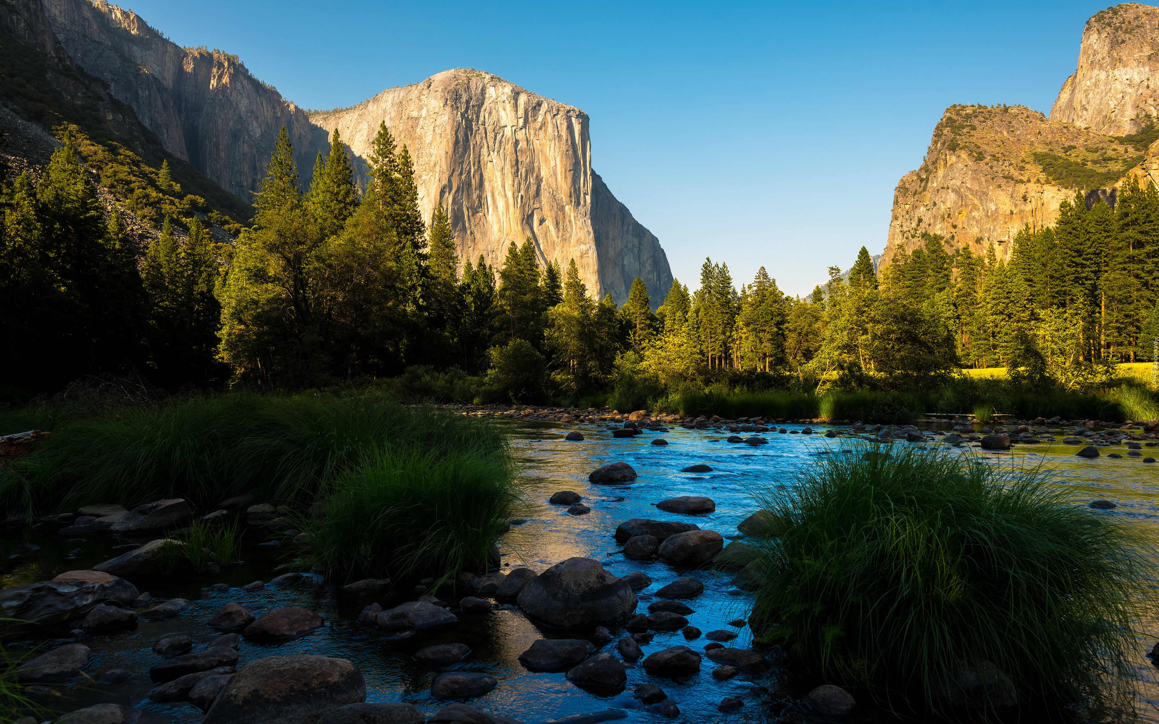 Stany Zjednoczone, Stan Kalifornia, Park Narodowy Yosemite, Góry Sierra Nevada, Las, Dolina, Rzeki