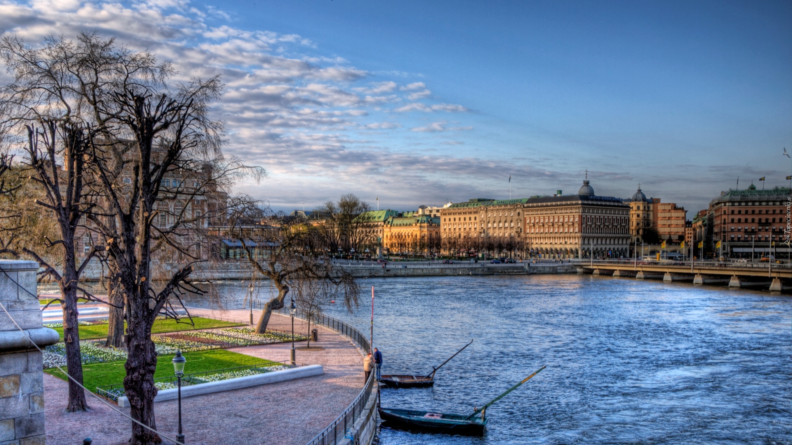 Szwecja, Sztokholm, Miasto, Rzeka, Drzewa