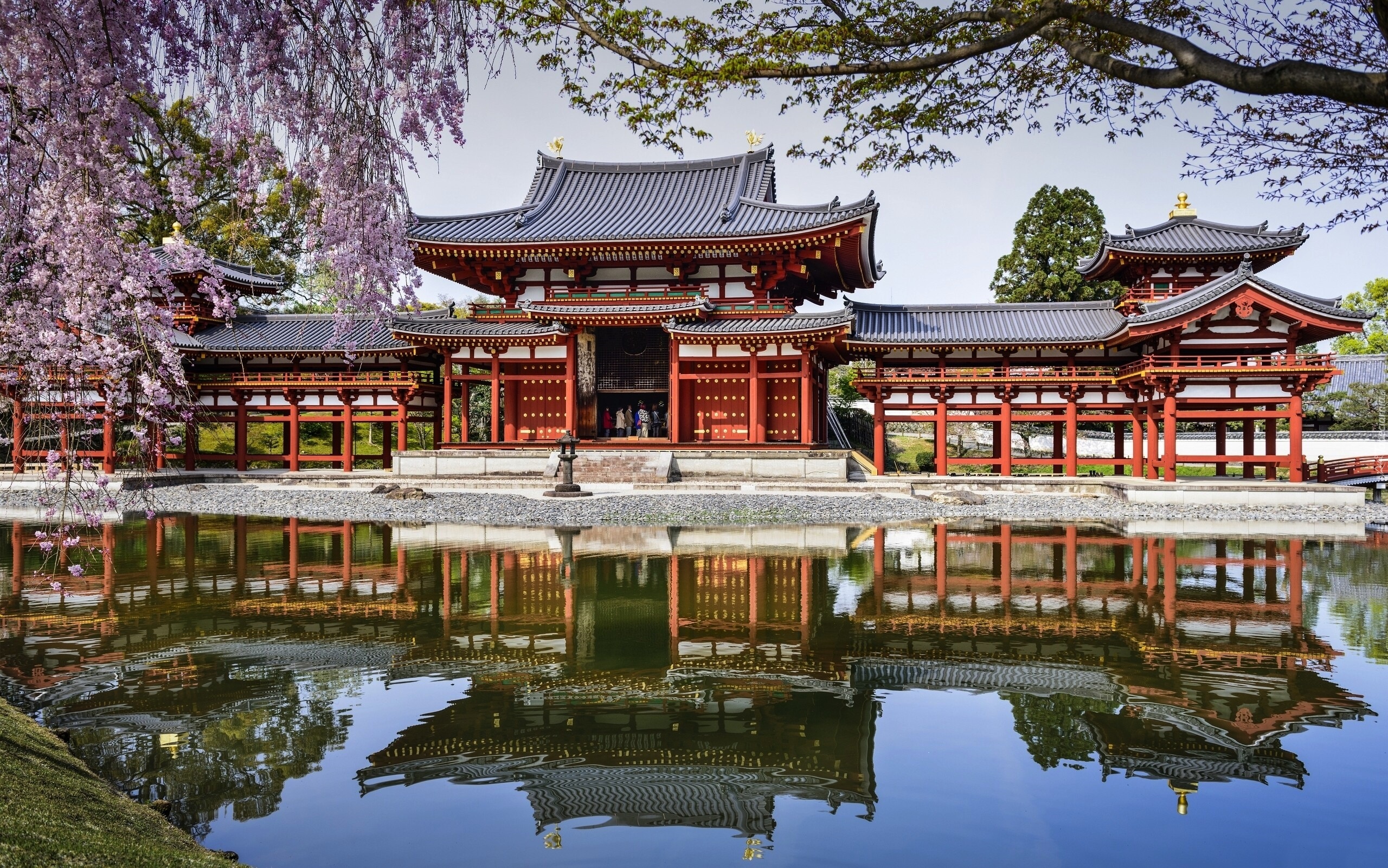 Wiosna, Buddyjska, Świątynia, Japonia