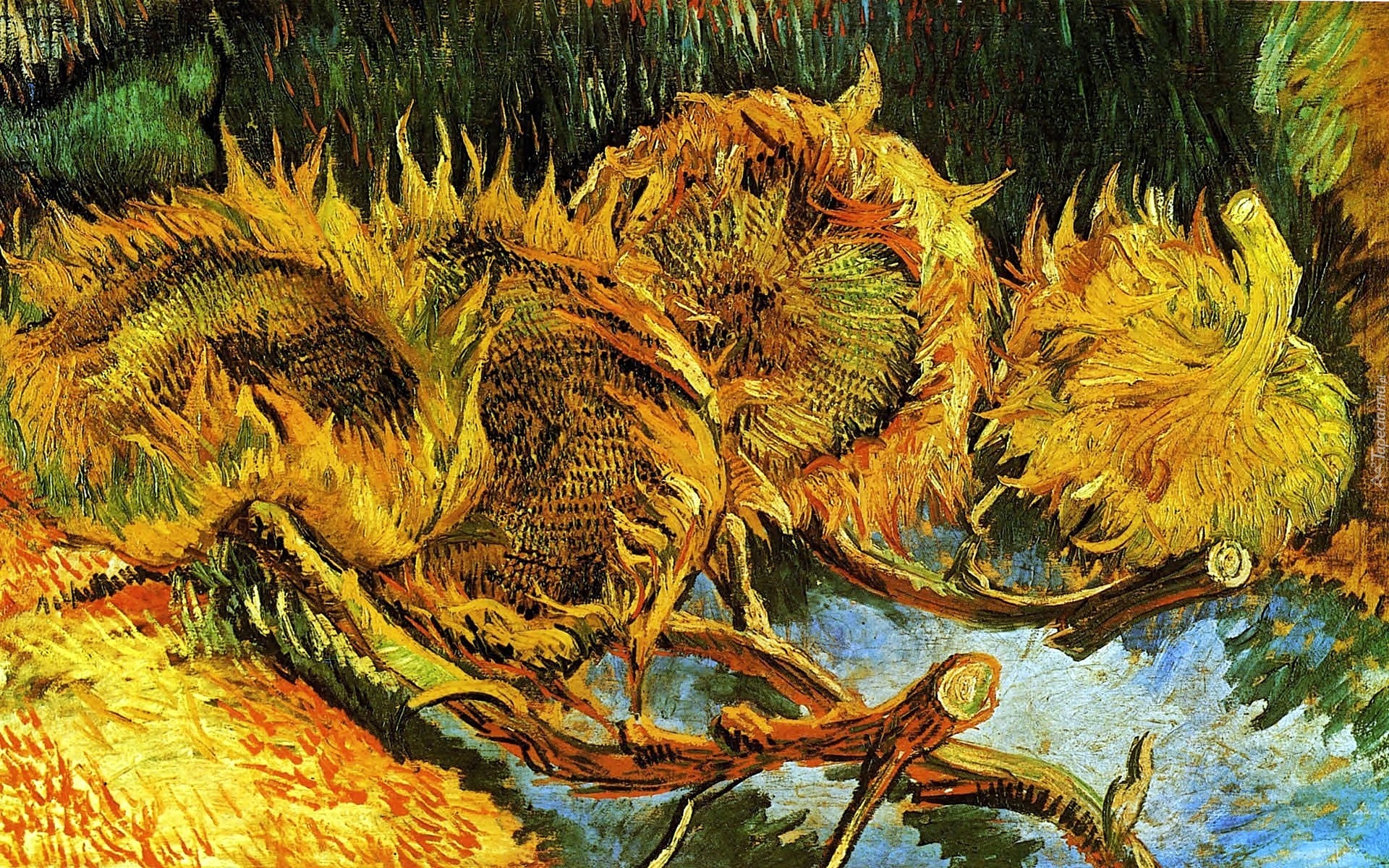 Vicent, Van Gogh, Słoneczniki