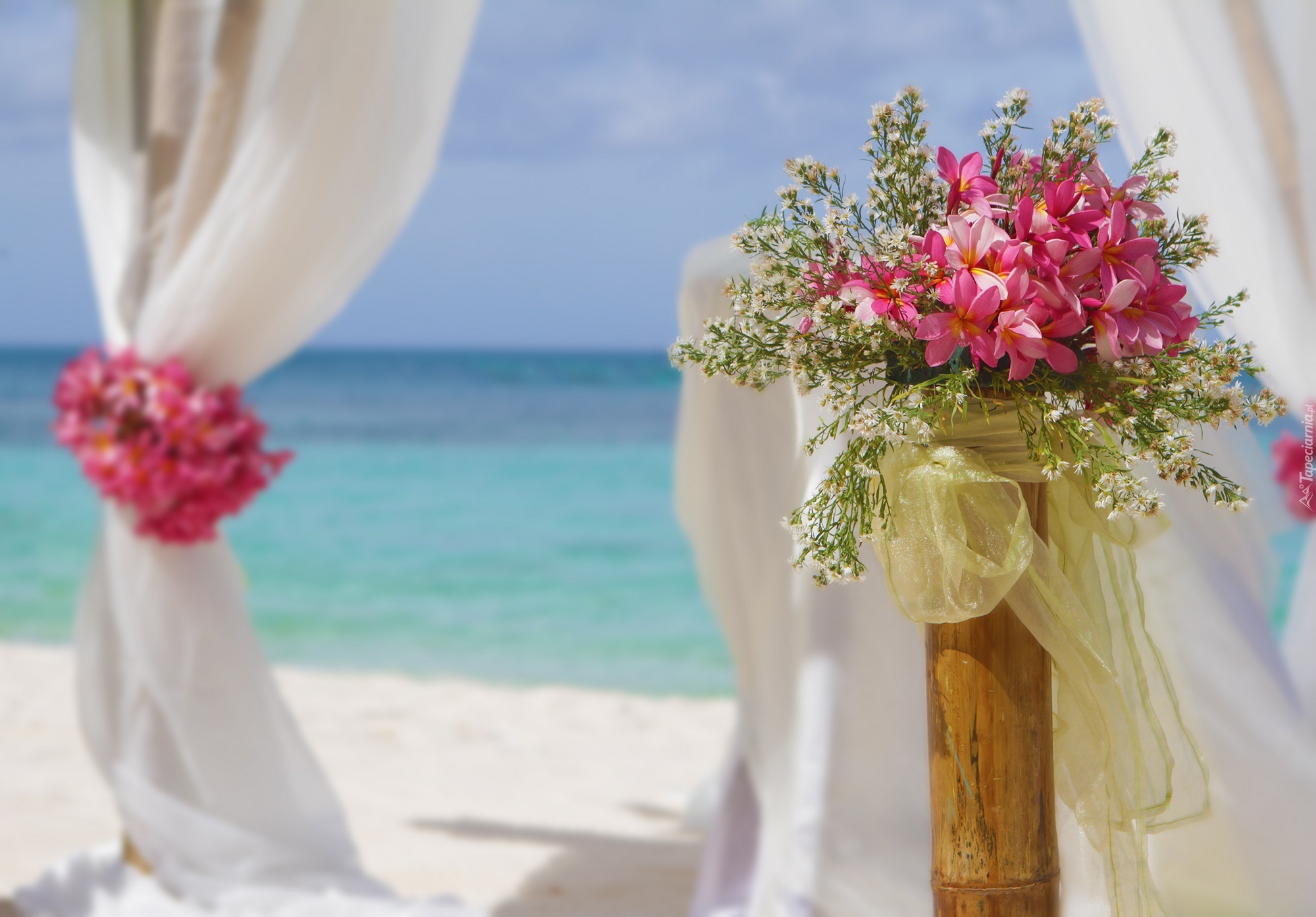 Bukiet, Różowych, Kwiatów, Plaża, Morze, Ślub