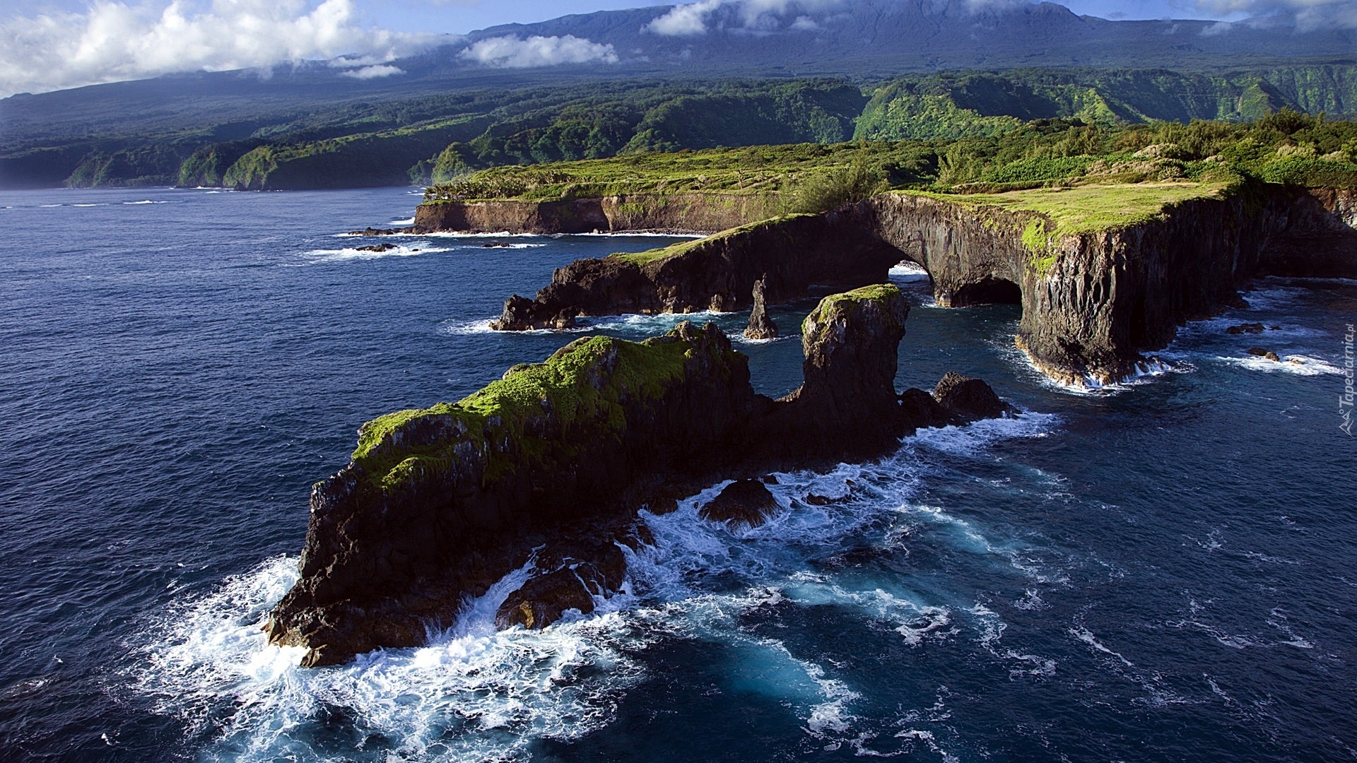 Skaliste, Wybrzeże, Maui, Hawaje