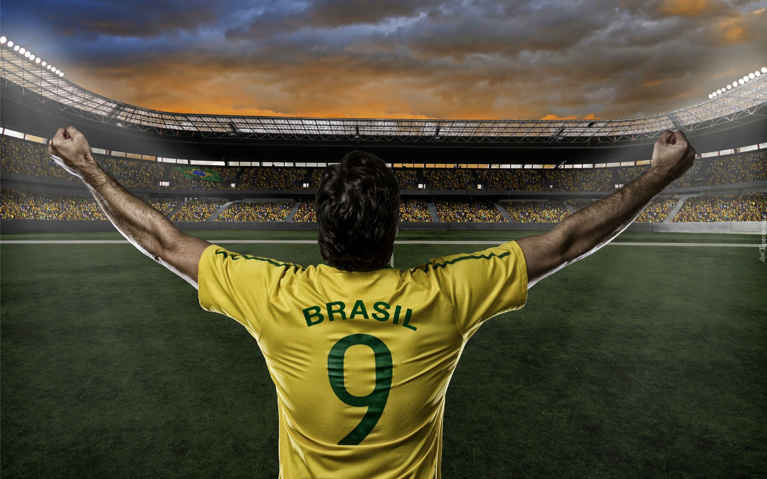 Stadion, Piłkarz, Mistrzostwa, Świata, Brazylia, 2014