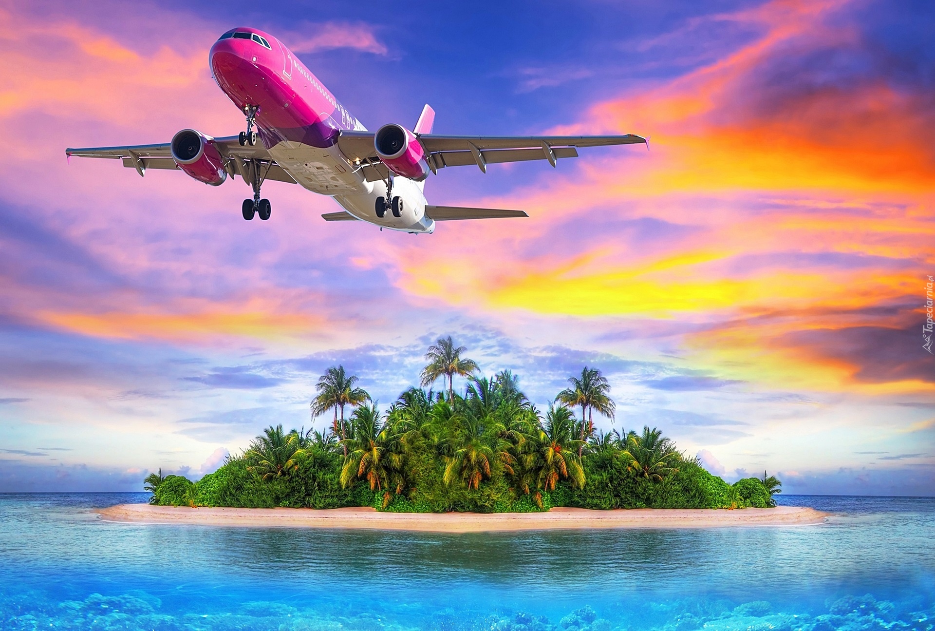 Różowy, Samolot, Wyspa, Palmy, Ocean
