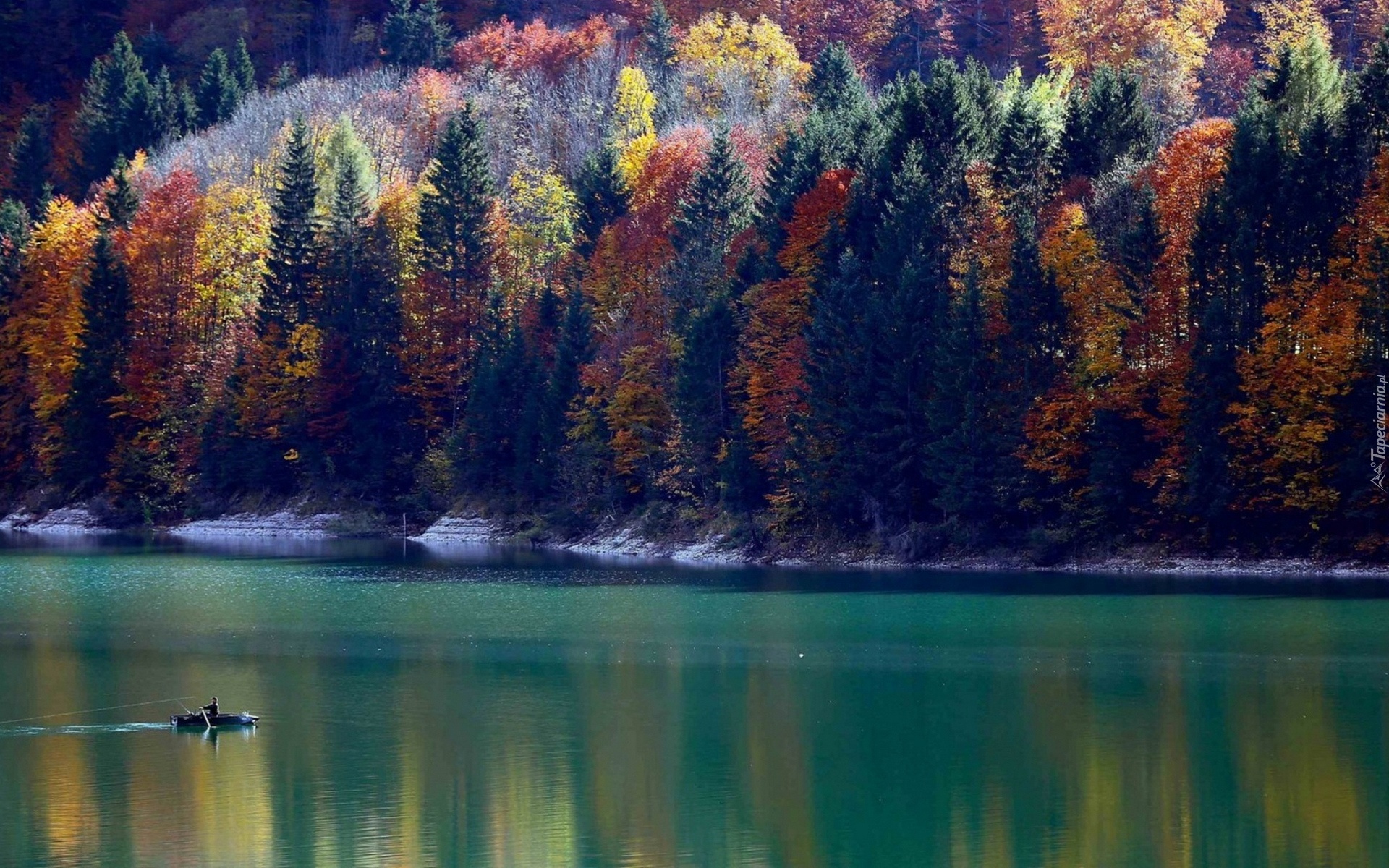 Jezioro, Łódka, Lasy, Kolorowe, Drzewa, Jesień