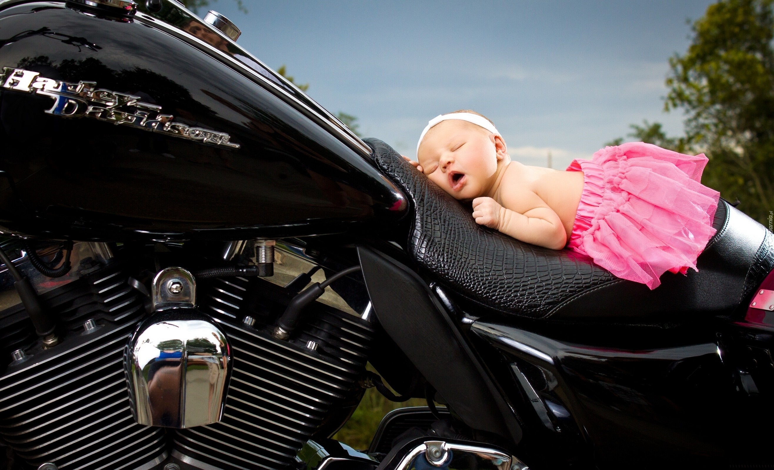 Śpiąca, Dziewczynka, Motor, Harley-Davidson