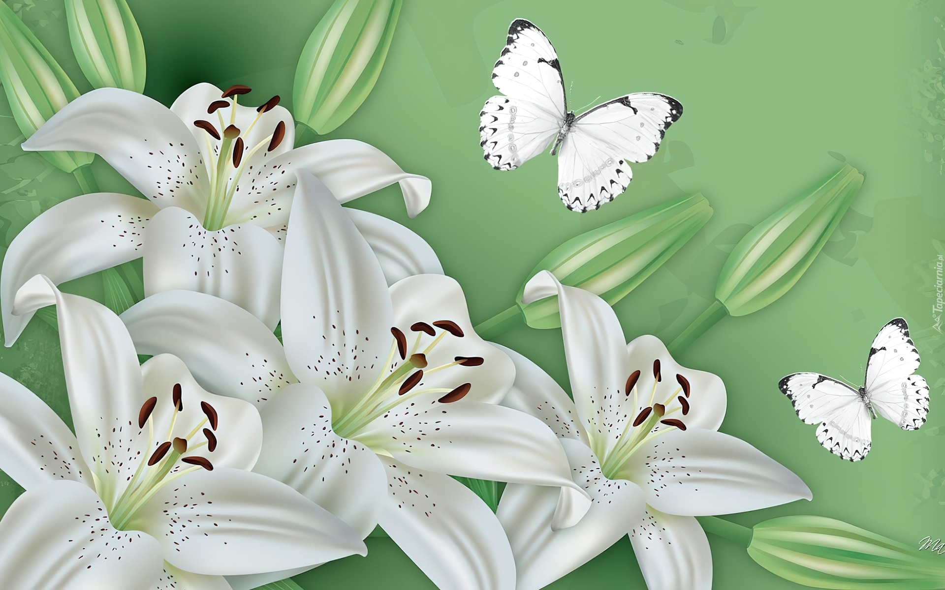Grafika, Białe, Lilie, Motyle