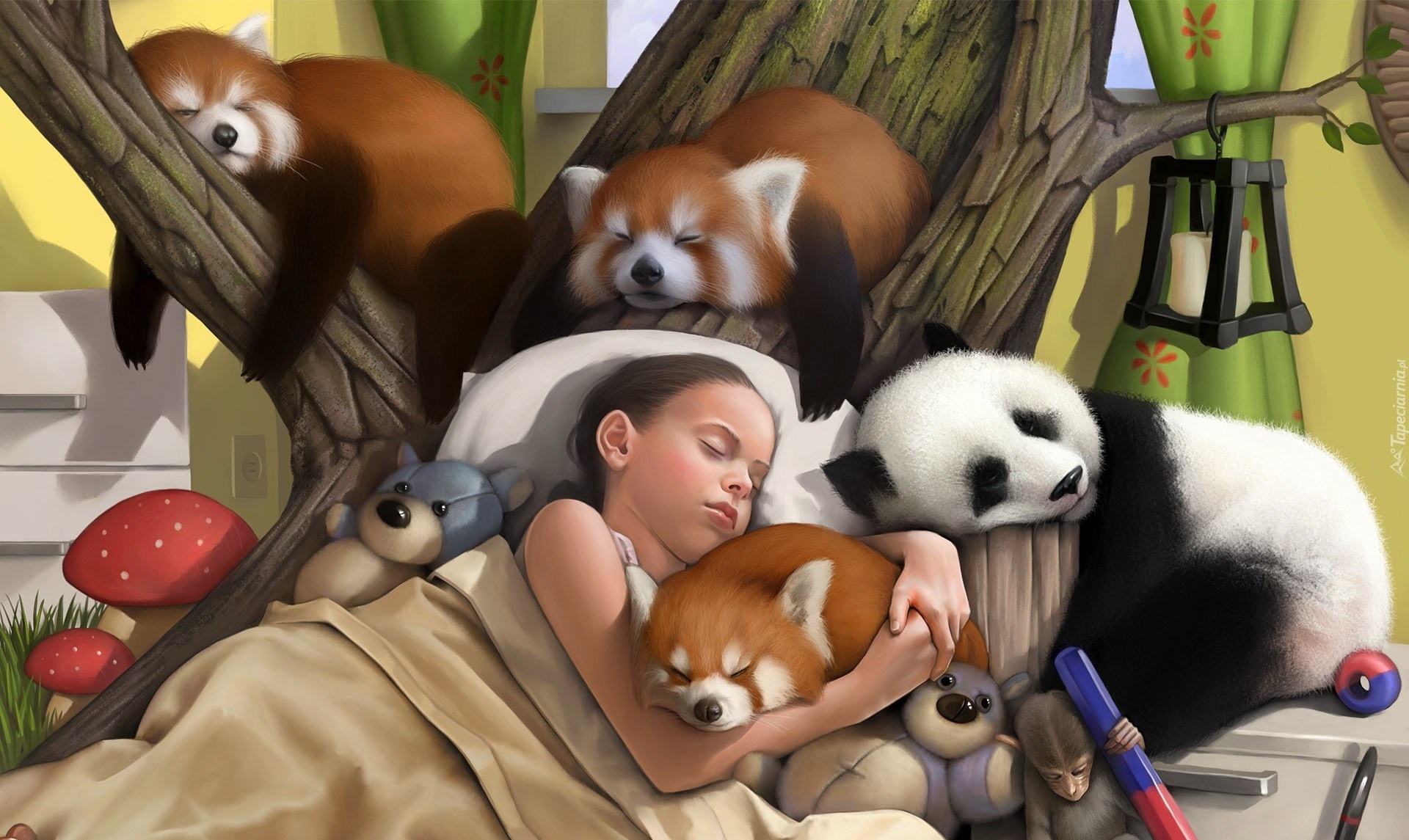 Śpiąca, Dziewczynka, Misie, Pandka ruda