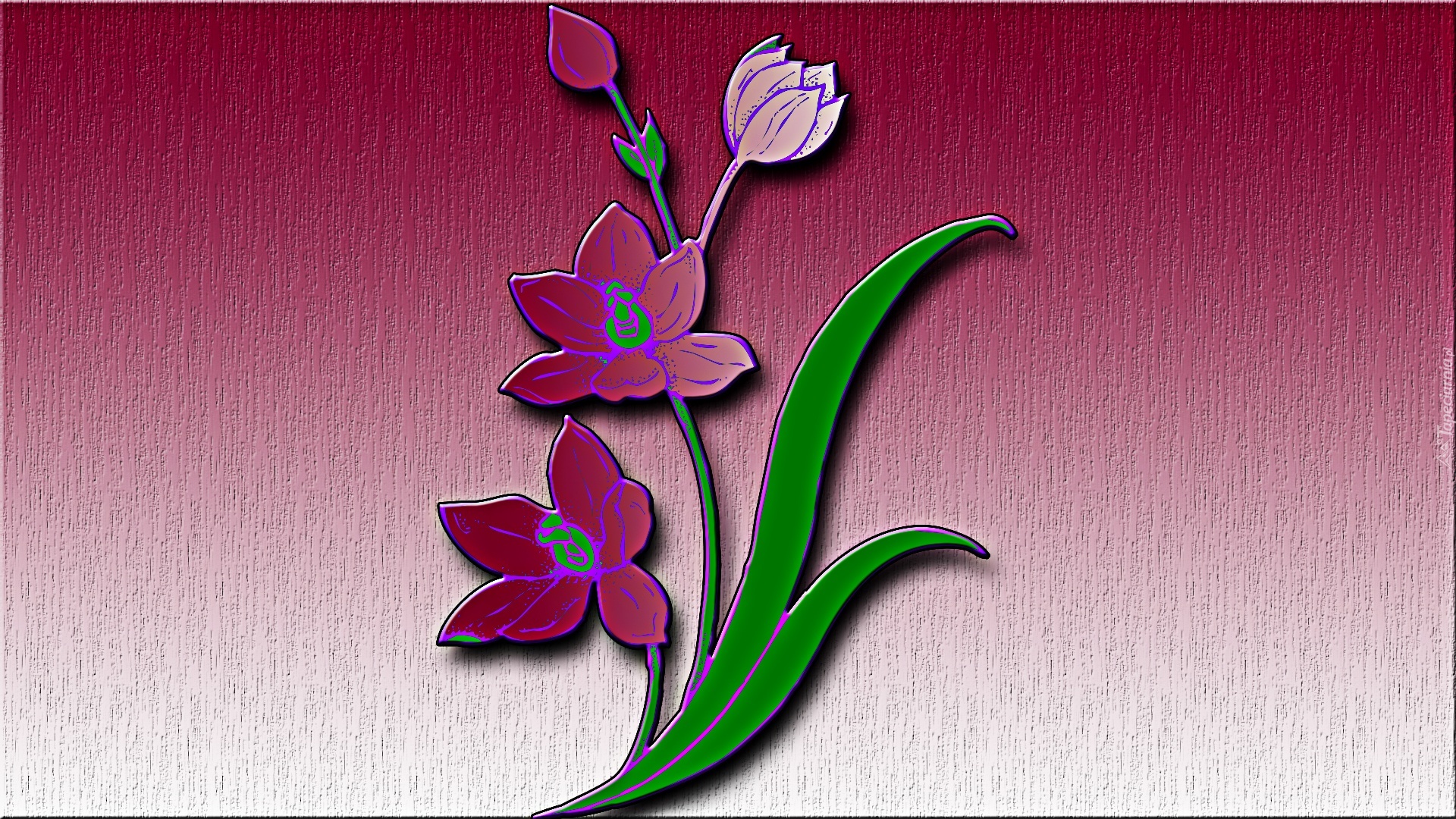 Fioletowy, Kwiat, Grafika, 3D