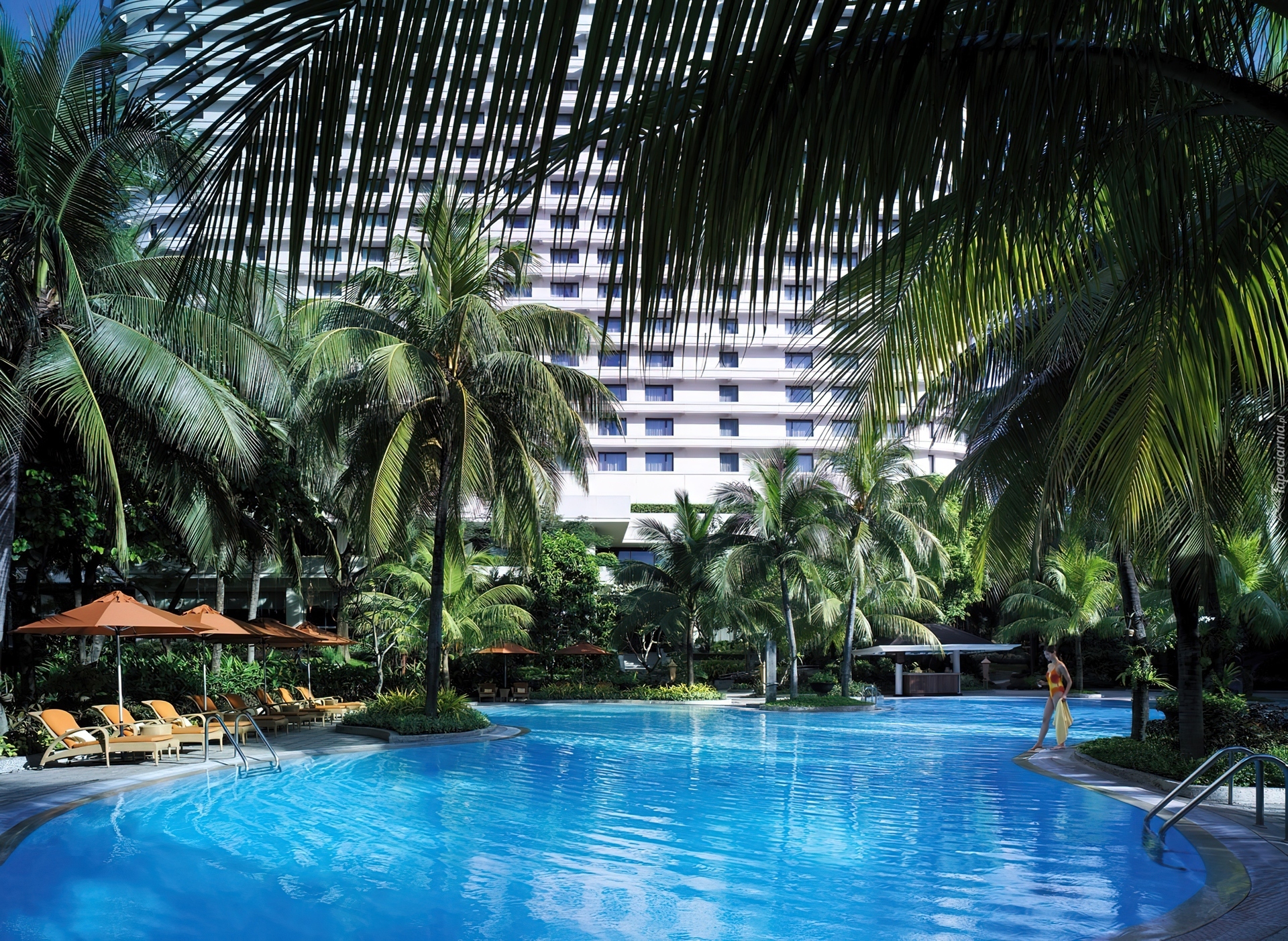 Hotel, Basen, Palmy, Bangkok, Tajlandia