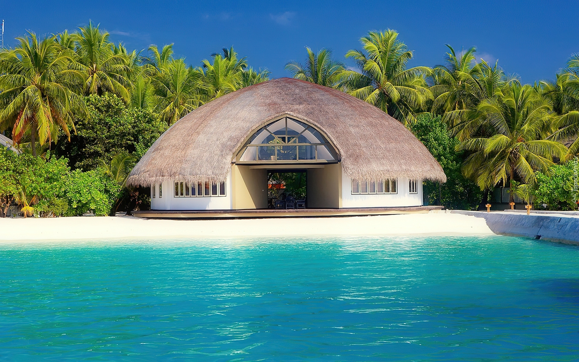 Tropiki, Malediwy, Budowla, Hotel, Basen, Palmy