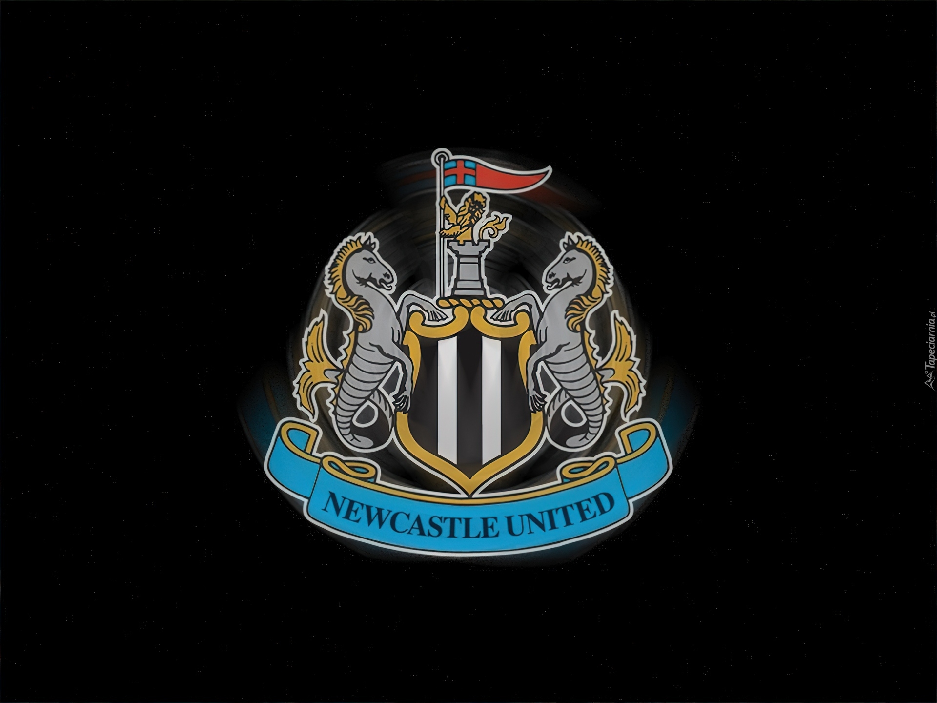 Piłka nożna,znaczek, Newcastle United