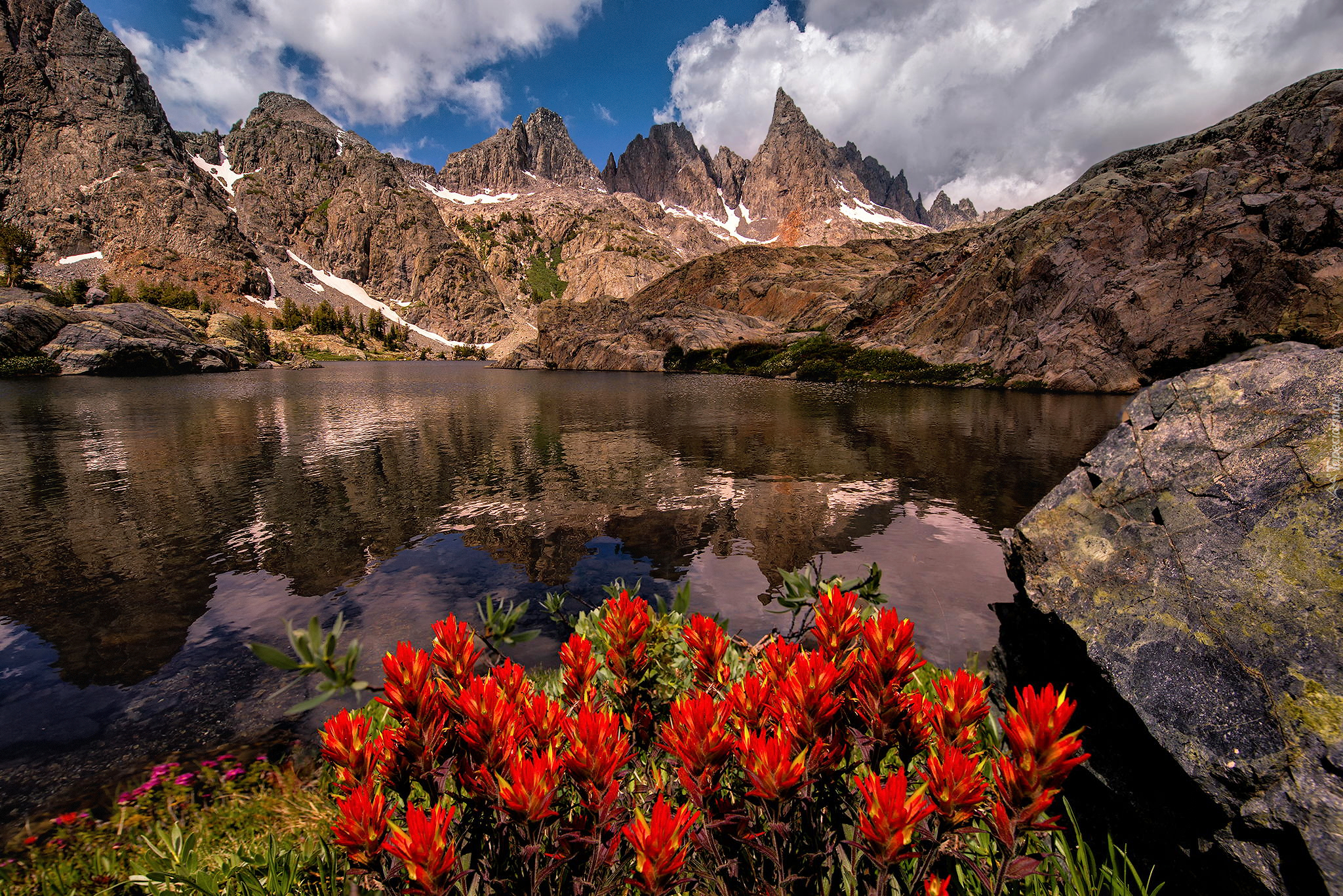 Stany Zjednoczone, Stan Kalifornia, Góry, Sierra Nevada, Jezioro, Minaret Lake, Czerwone, Kwiaty