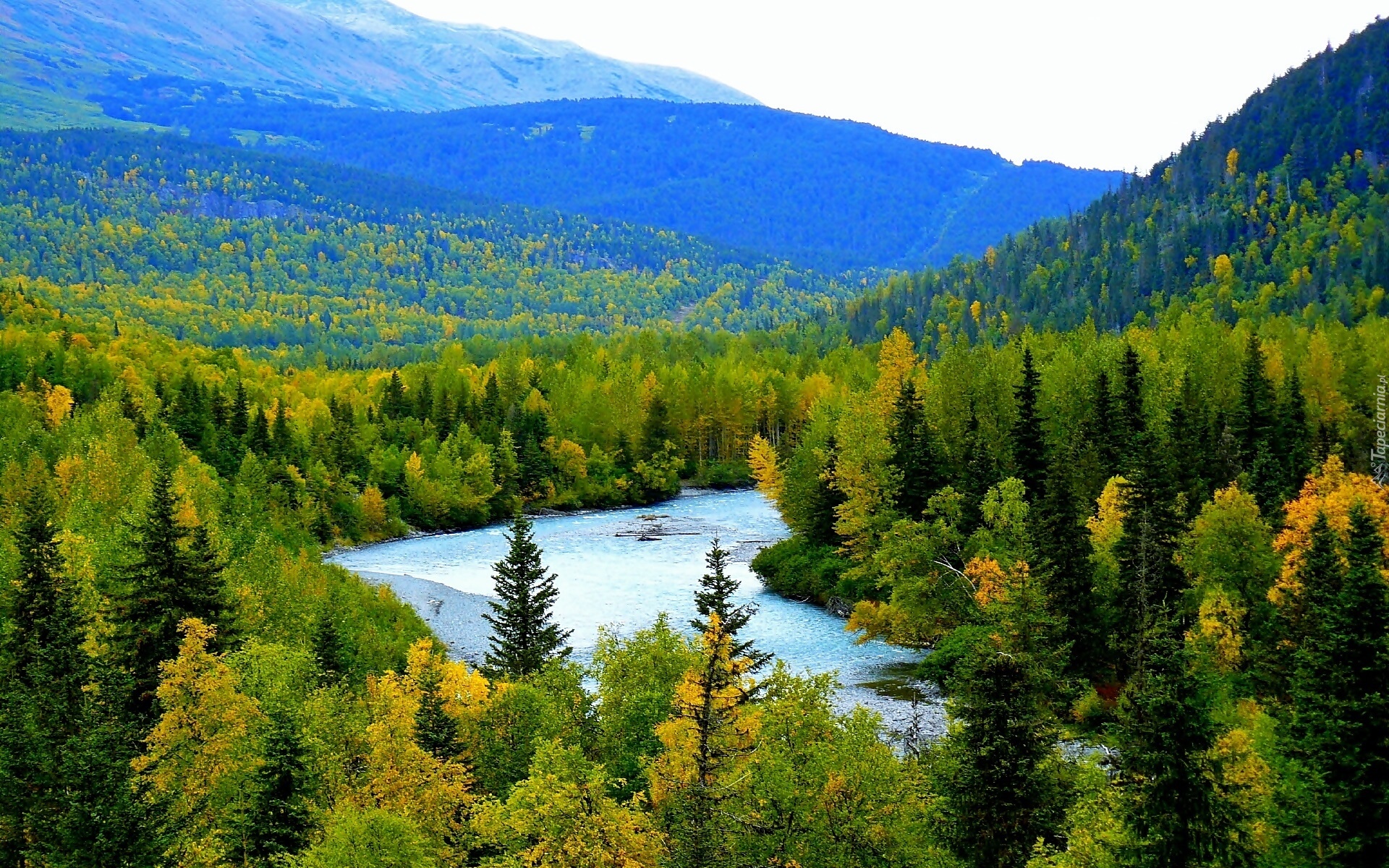 Góry, Lasy, Rzeka, Alaska