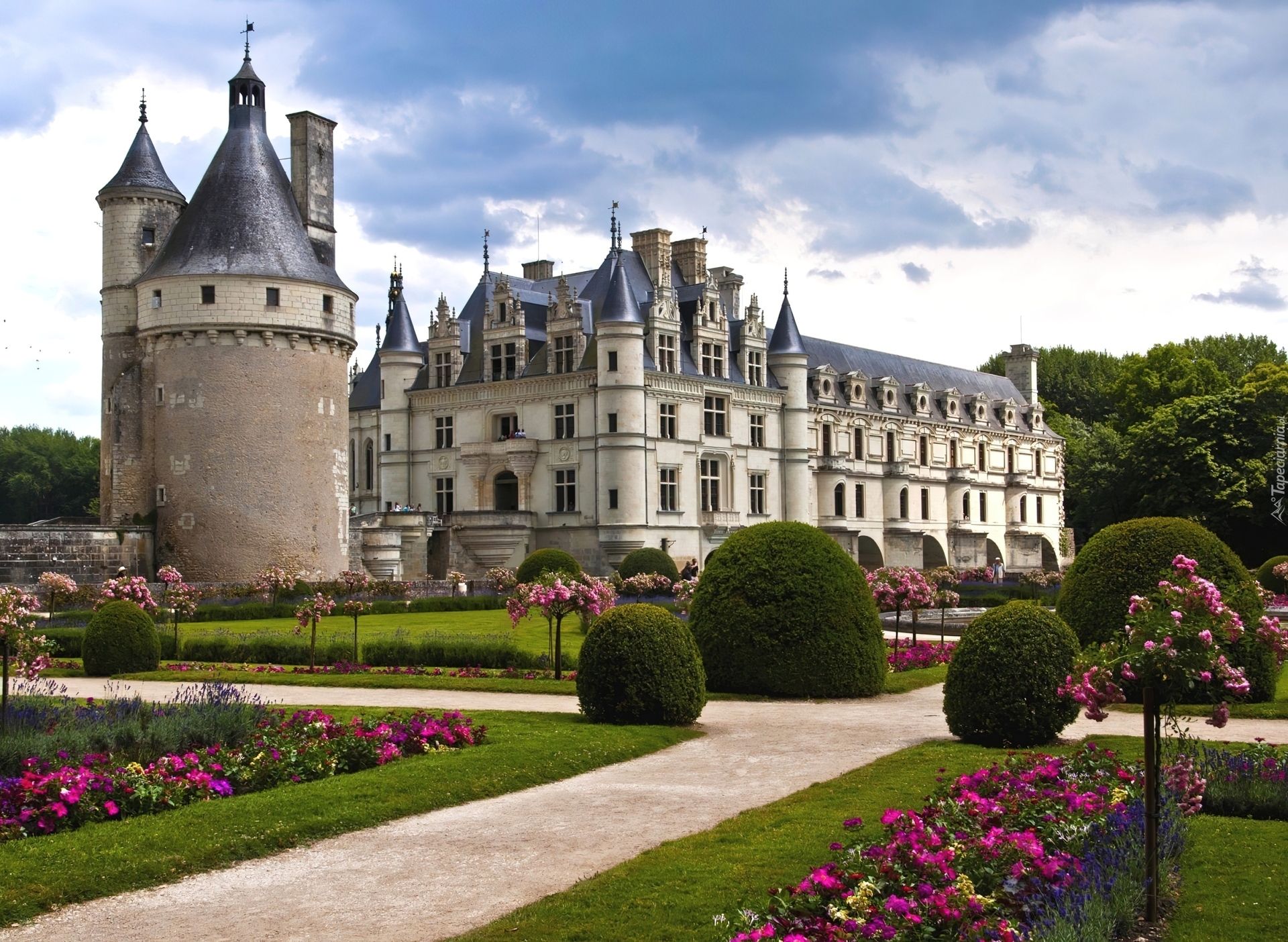 Zamek, Chenonceau, Francja, Ogród
