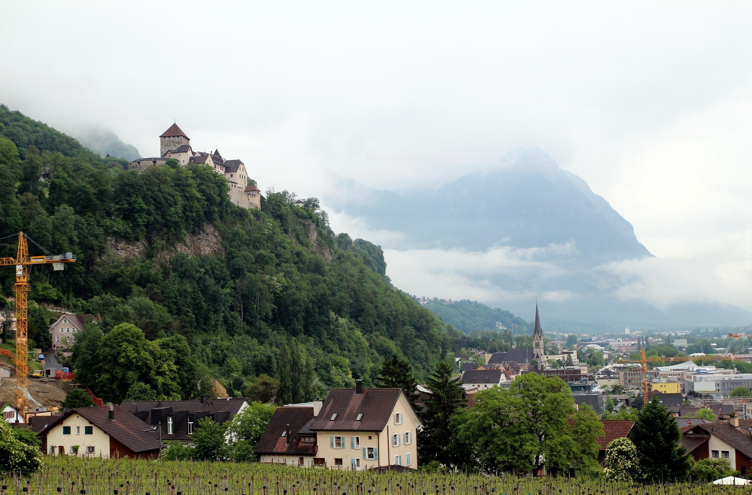 Liechtenstein, Vaduz, Miasto, Góry, Las
