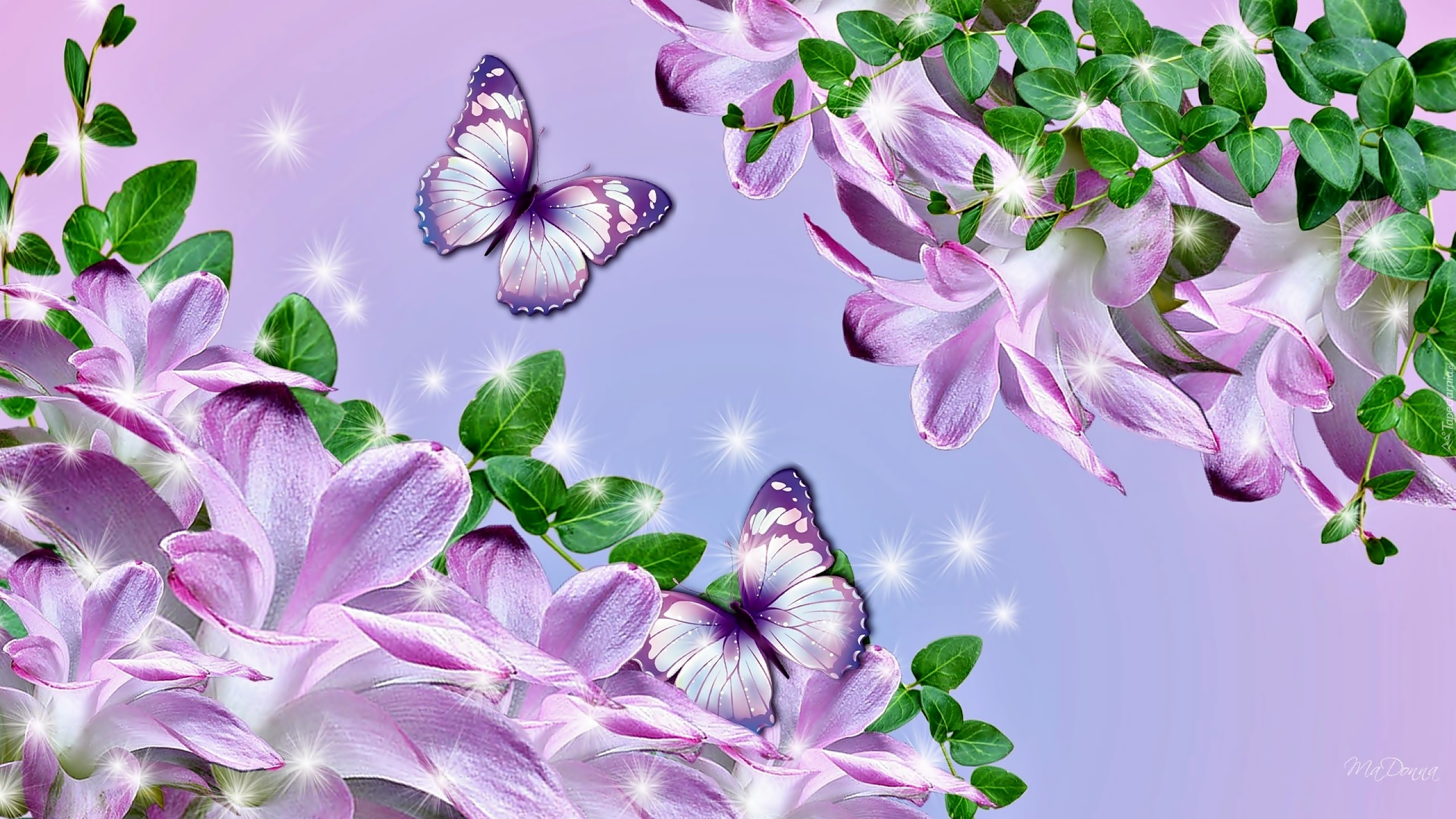 Kwiaty, Motyle, Fantasy