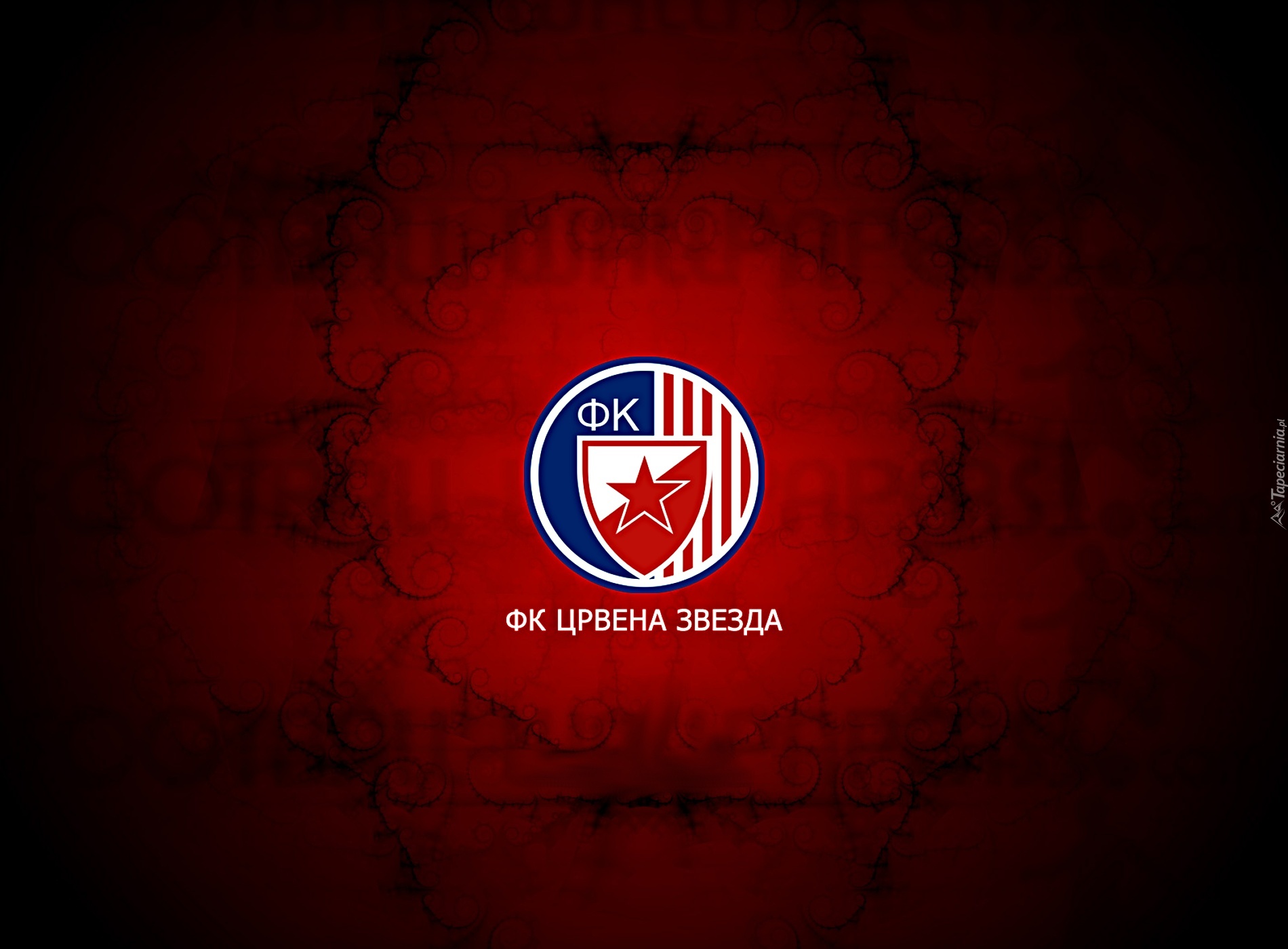 Crvena Zvezda Belgrad, piłka nożna, sport