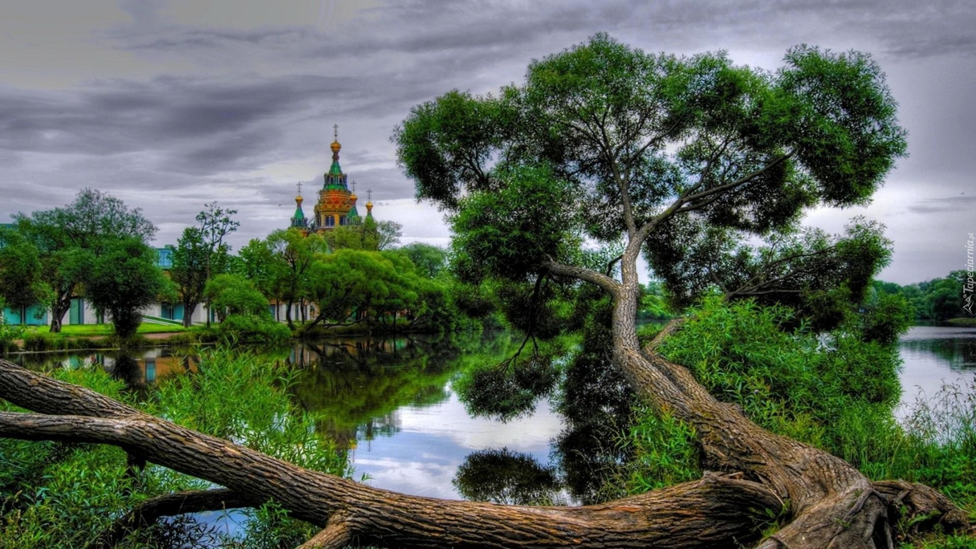 Cerkiew, Rzeka, Drzewa