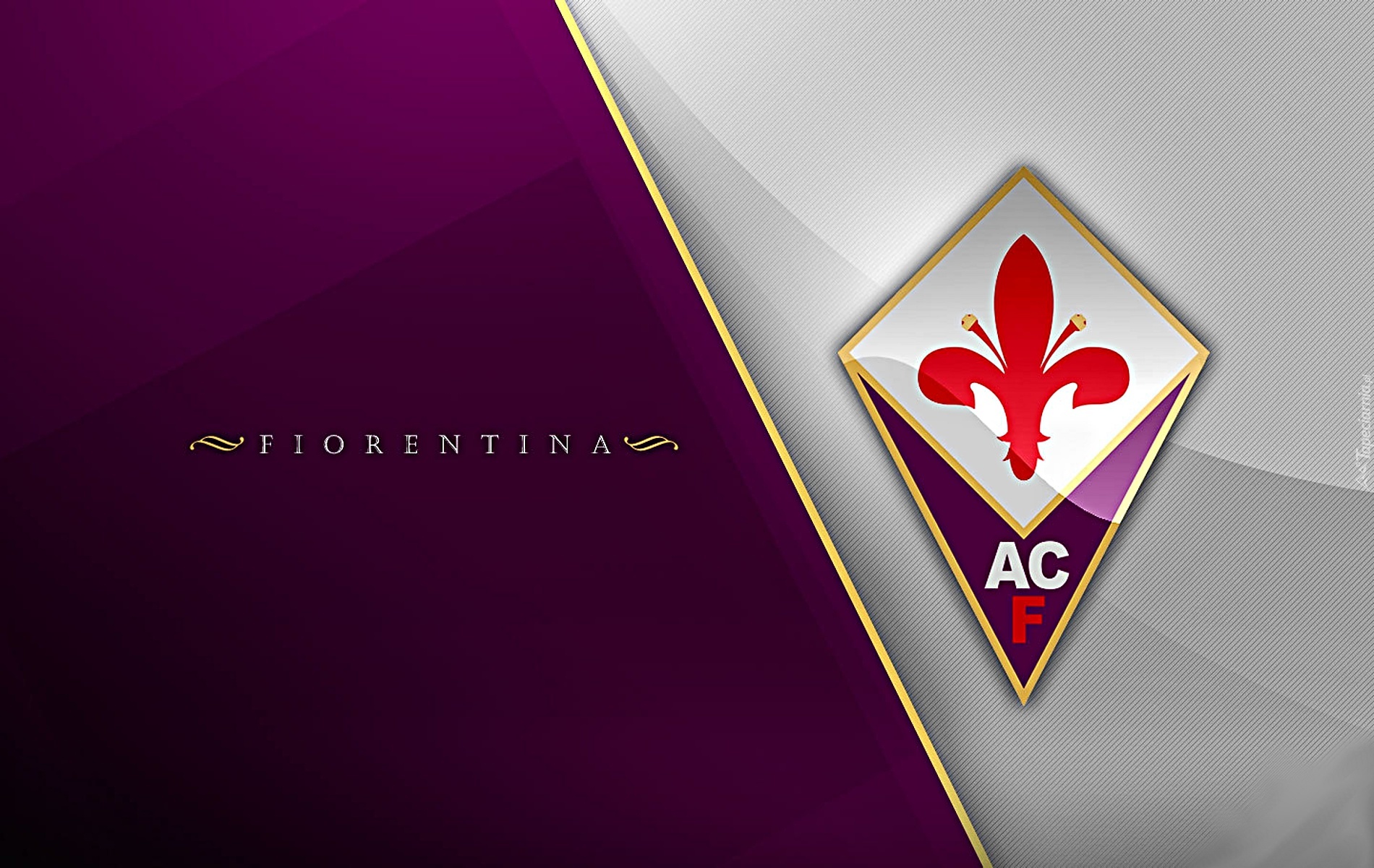 Fiorentina, piłka nożna, sport