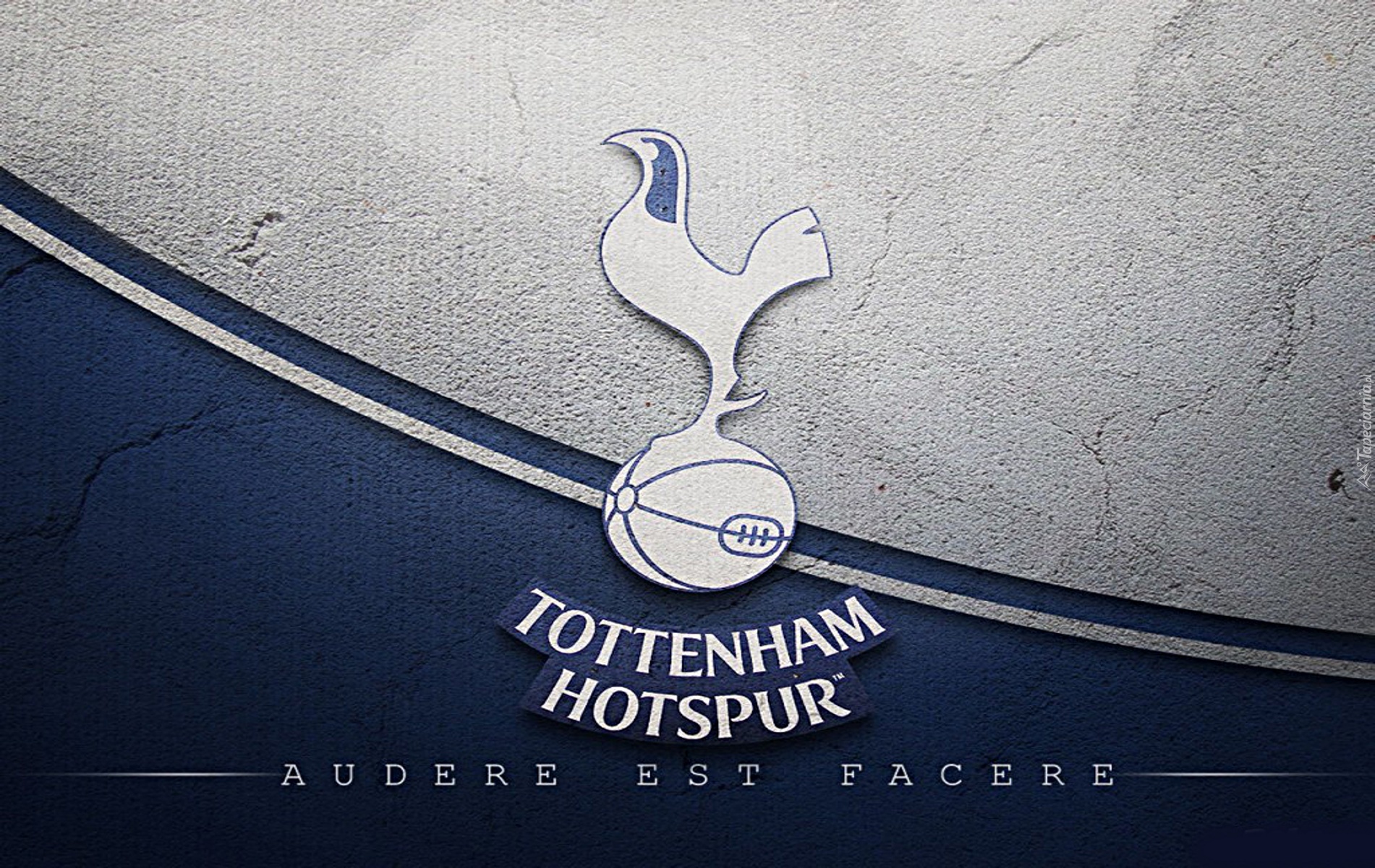 Tottenham Hotspur, piłka nożna, sport