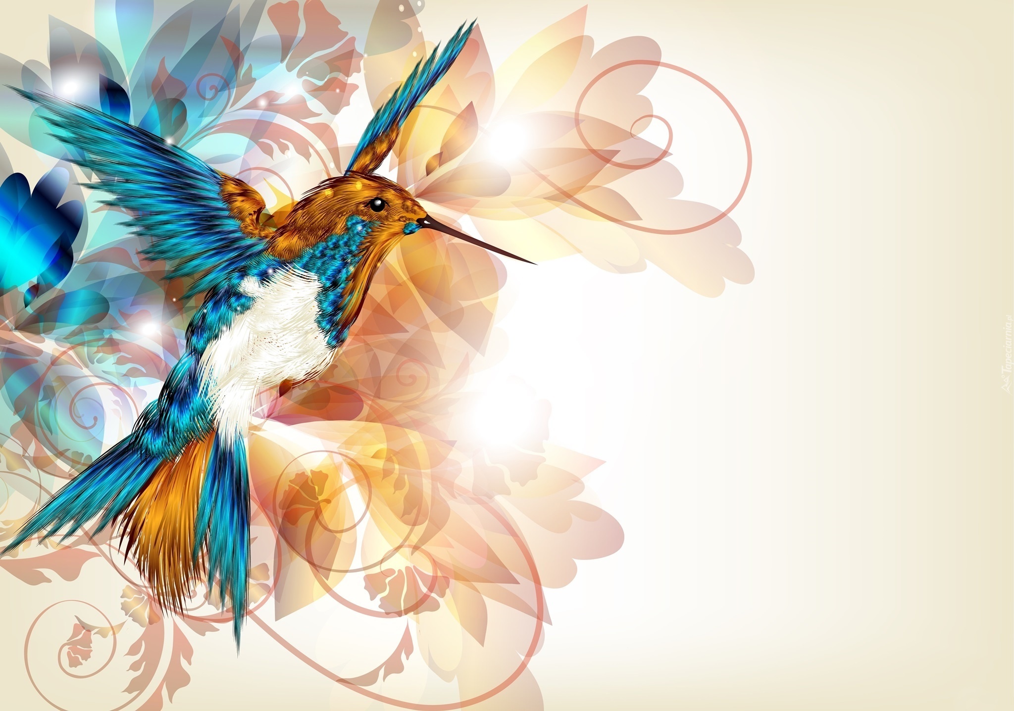 Koliber, Kwiaty, Grafika 3D, Wektorowa