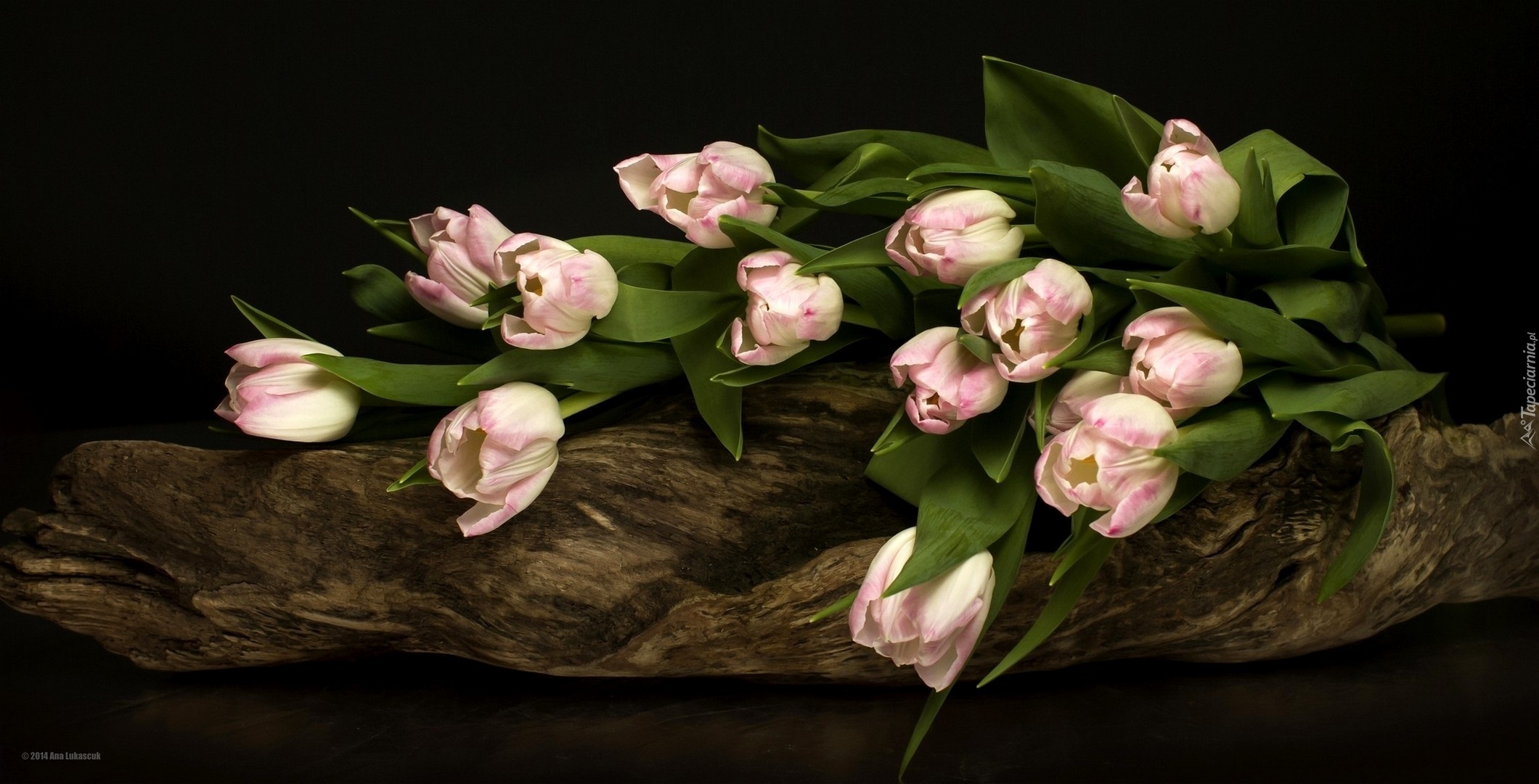 Różowe, Tulipany, Bukiet
