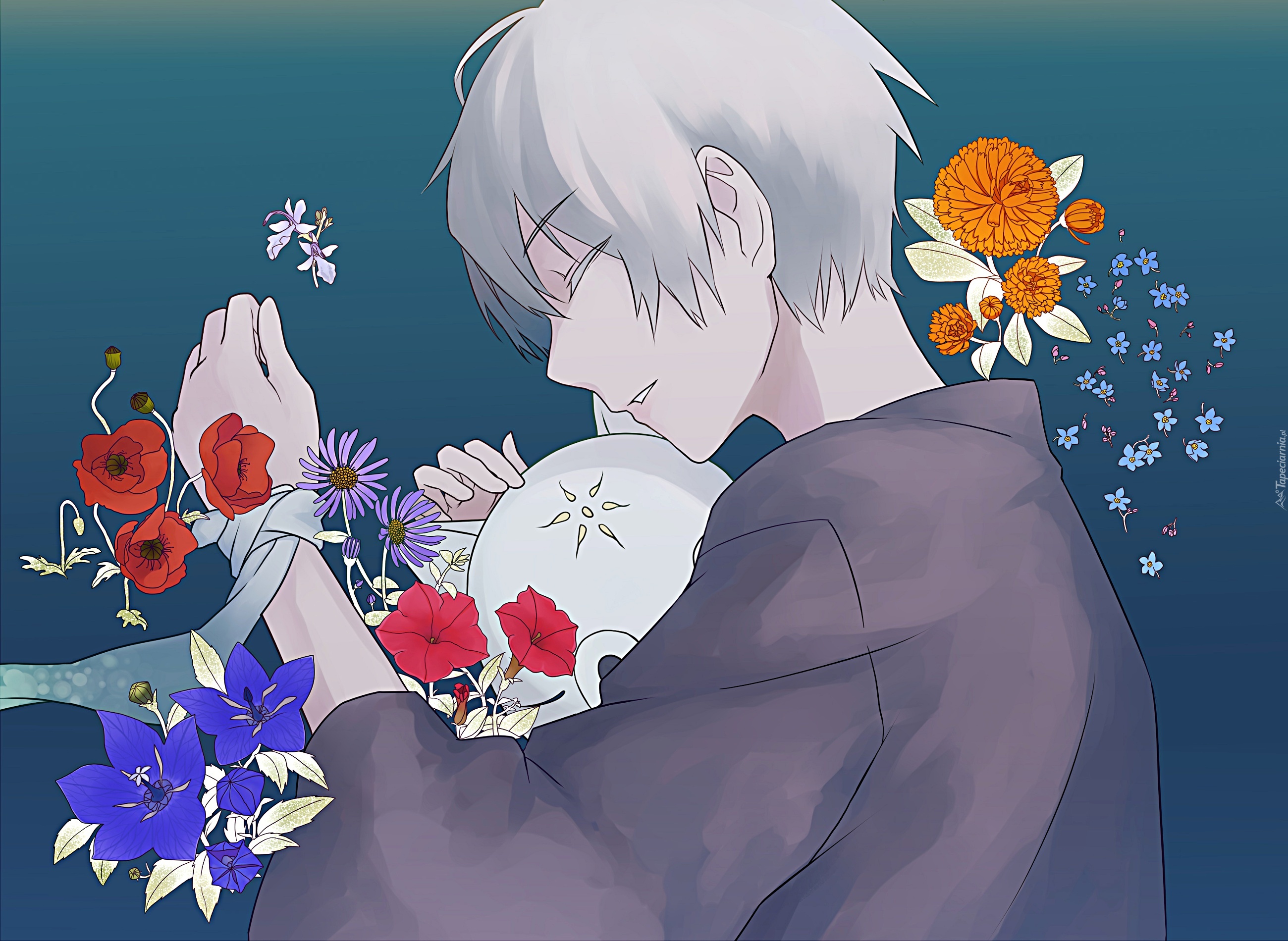 hotarubi no mori e hotarubi no mori e