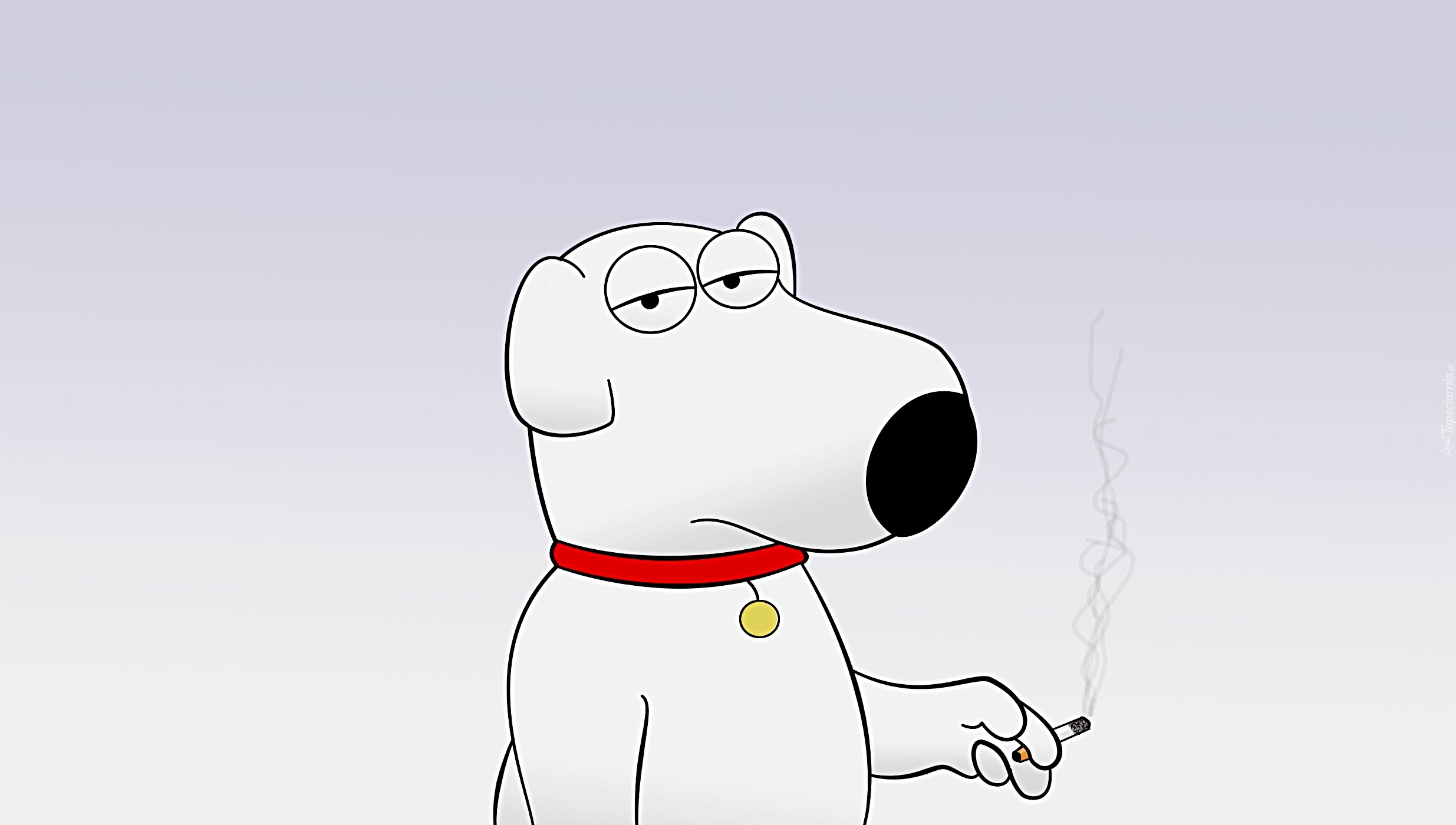 Brian, Griffin, Głowa Rodziny, Family Guy, pies, papieros