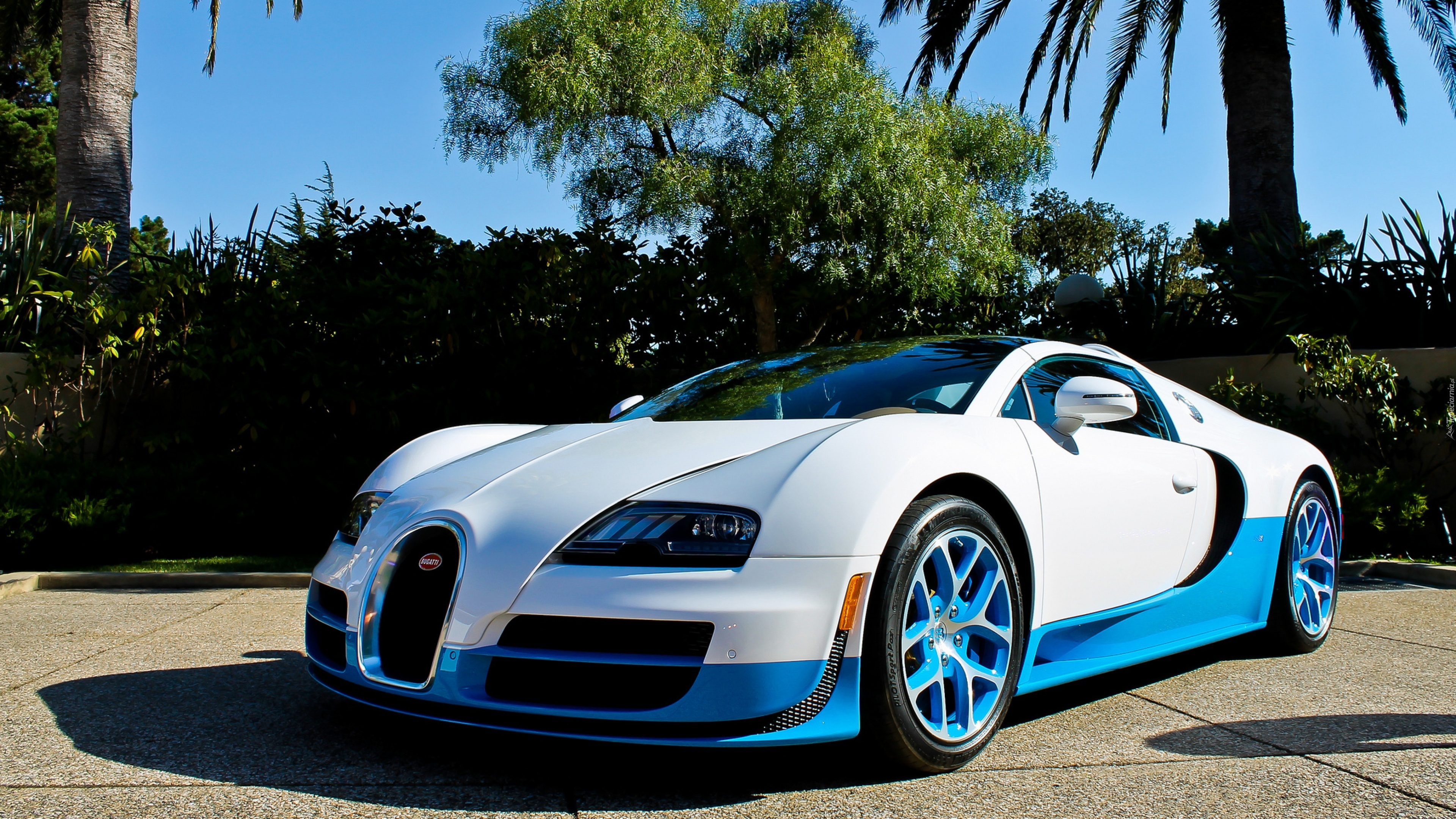 Bugatti Veyron, Palmy