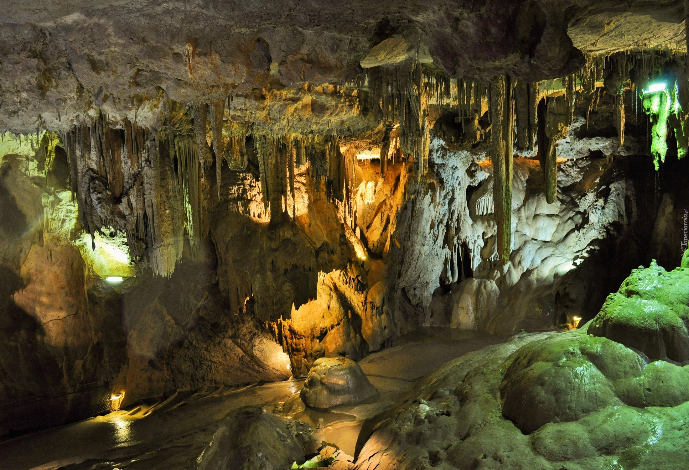 Jaskinia, Grottes de Bétharram, Francja