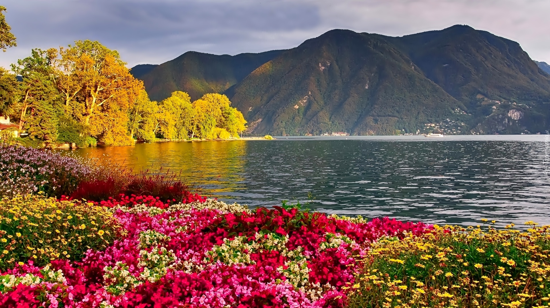 Jesień, Góry, Jezioro, Kolorowe, Kwiaty