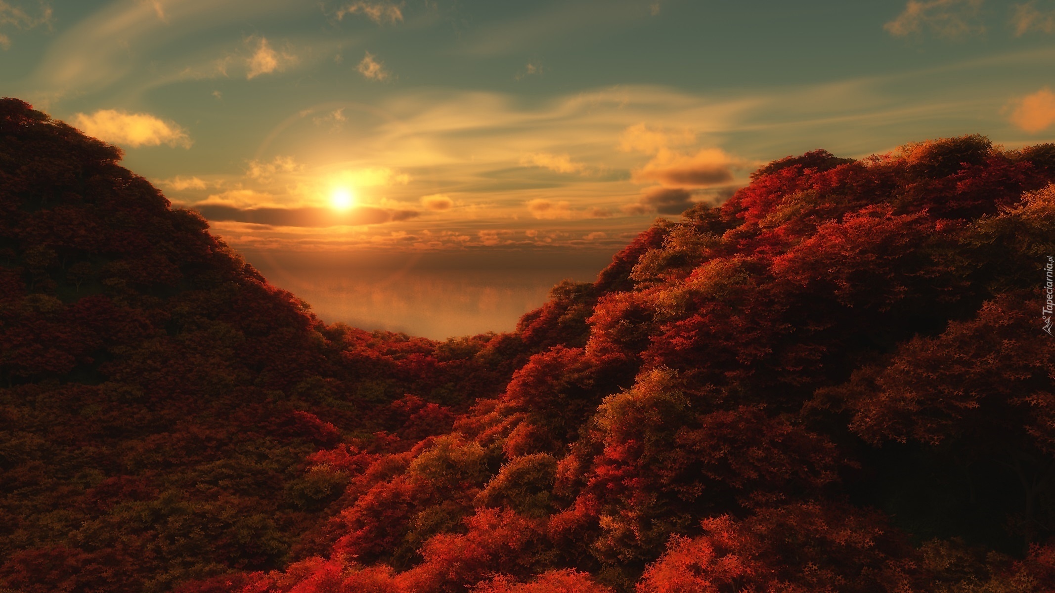 Zachód słońca, Lasy, Jesień, Wzgórza