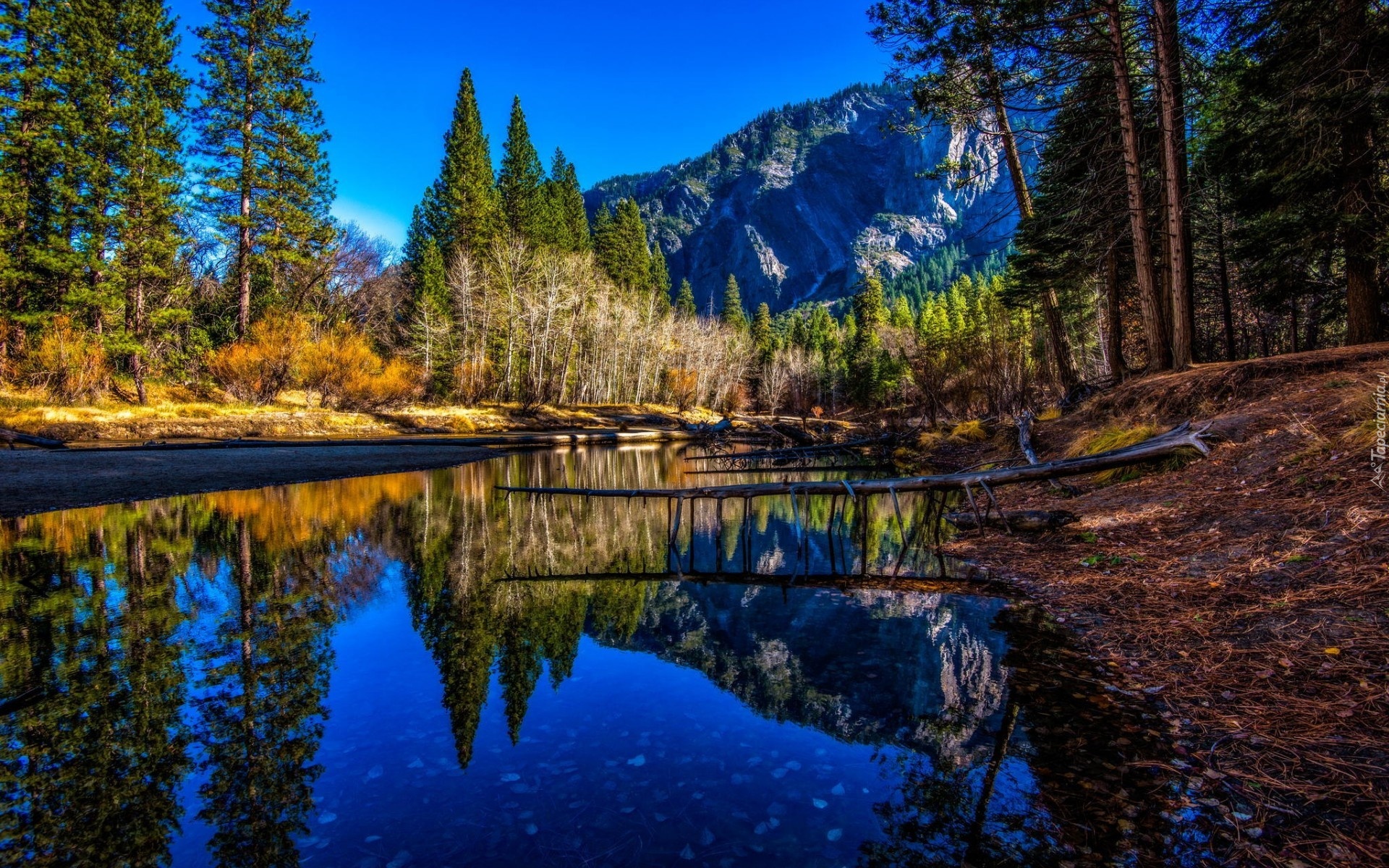Stany Zjednoczone, Stan Kalifornia, Park Narodowy Yosemite, Góry, Lasy, Rzeka