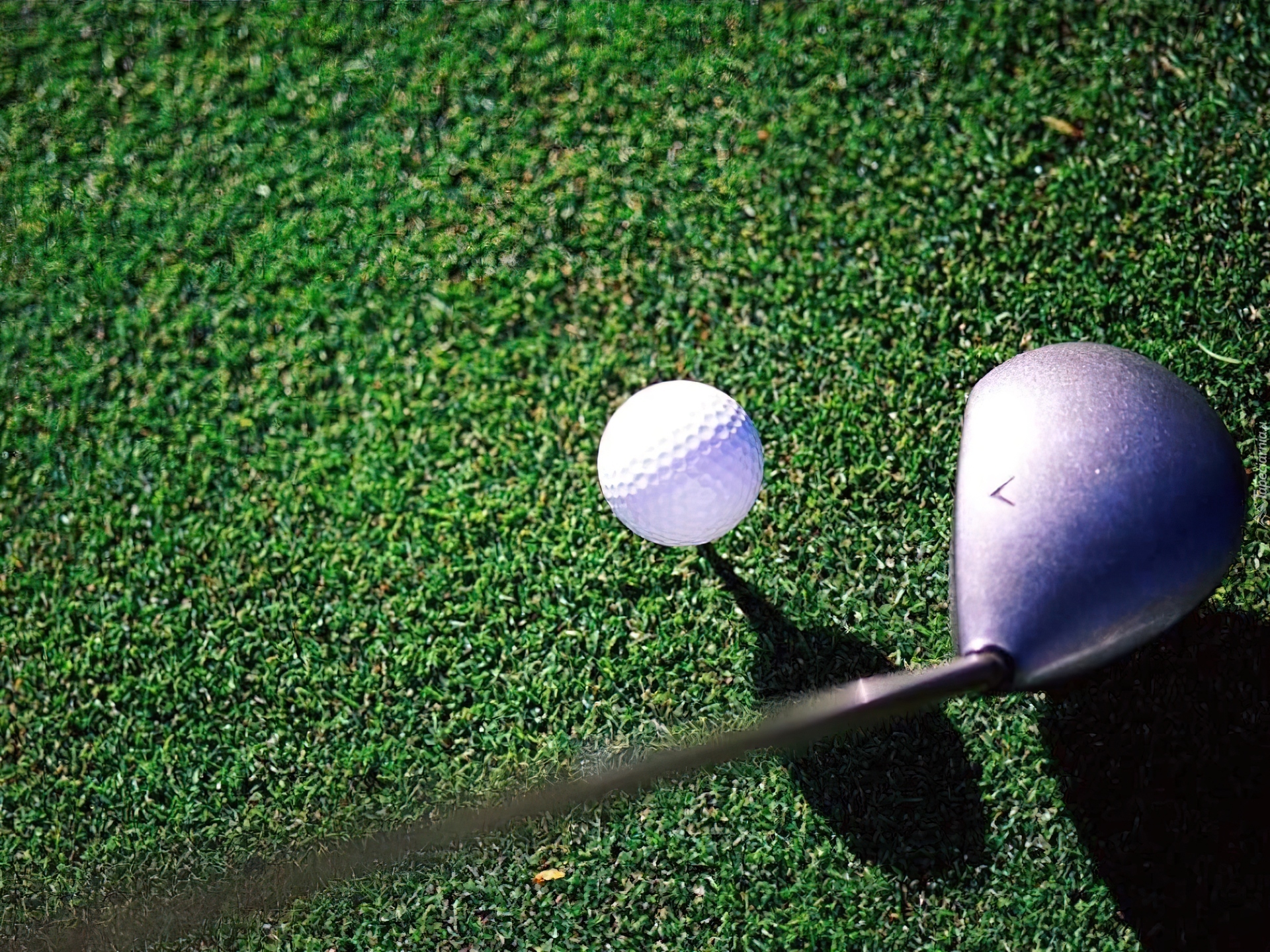 Sportowe Golf,piłka do golfa