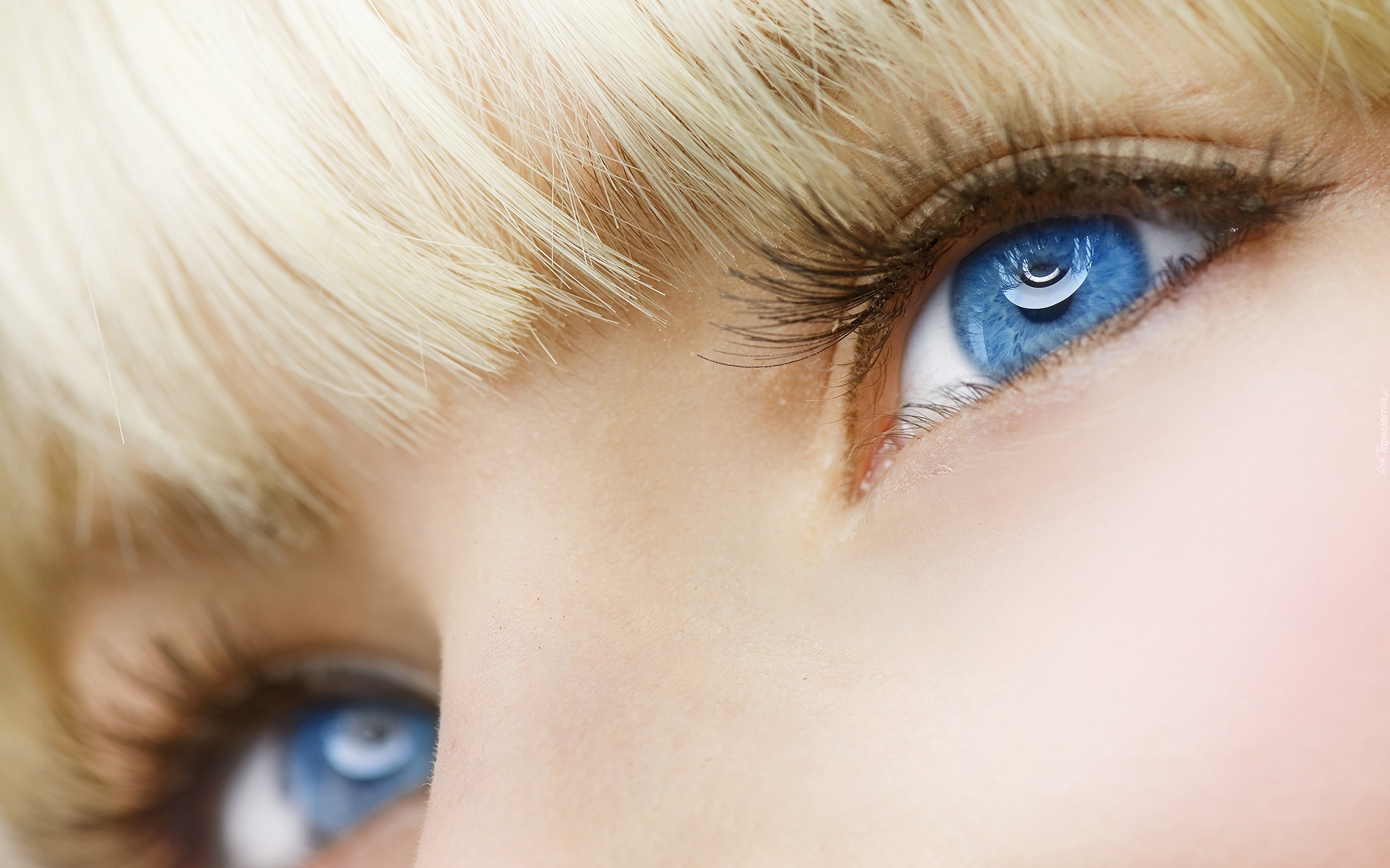 Piękne, Niebieskie, Oczy, Blondynka, Krótka, Grzywka