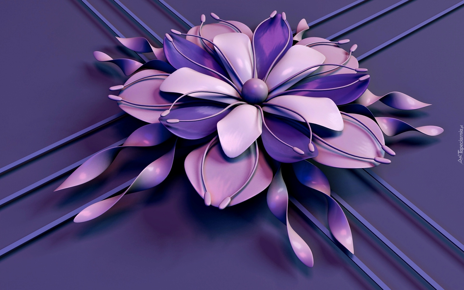 Grafika, Kwiat 3D