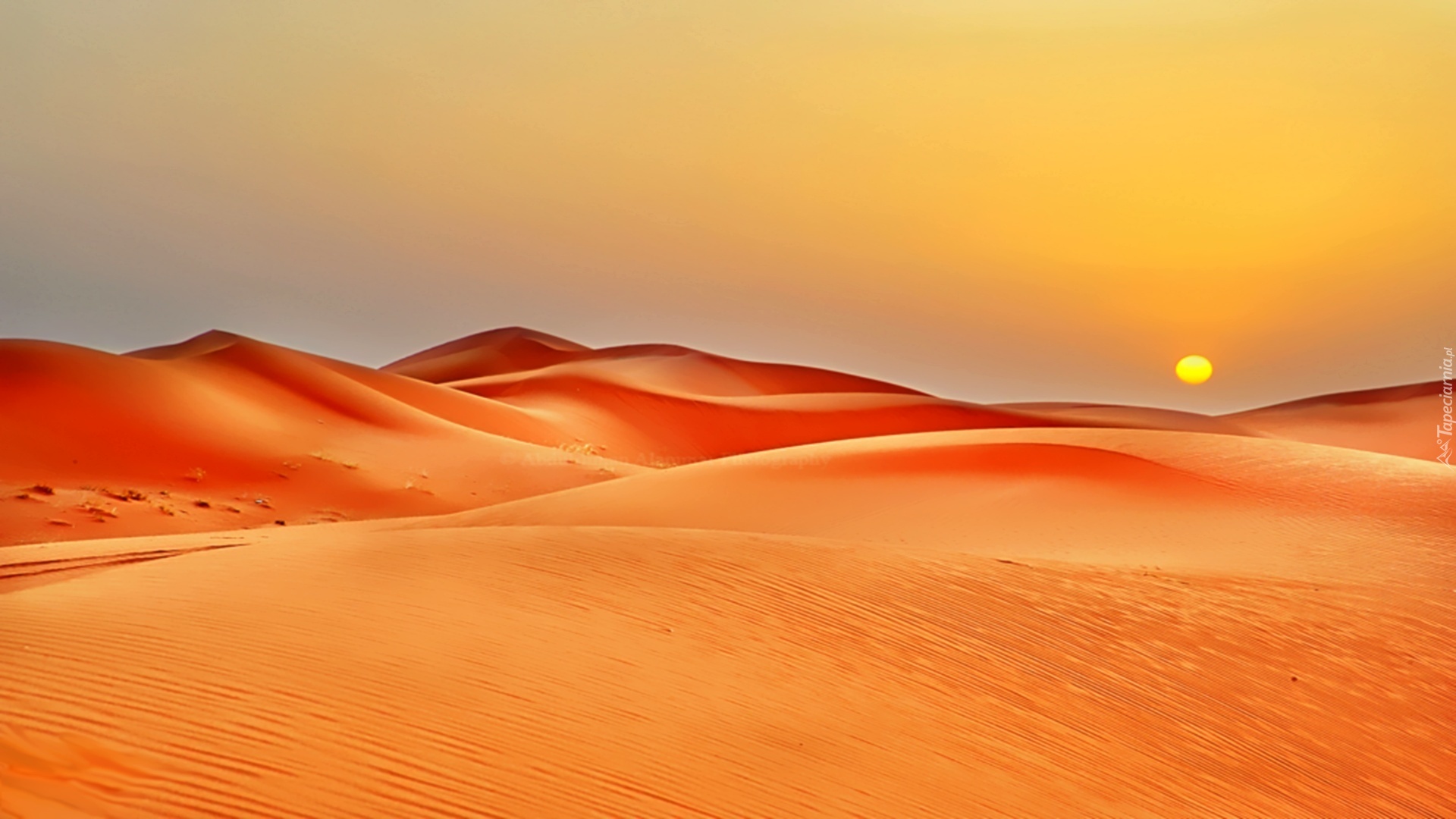 Znalezione obrazy dla zapytania pustynia tapeta