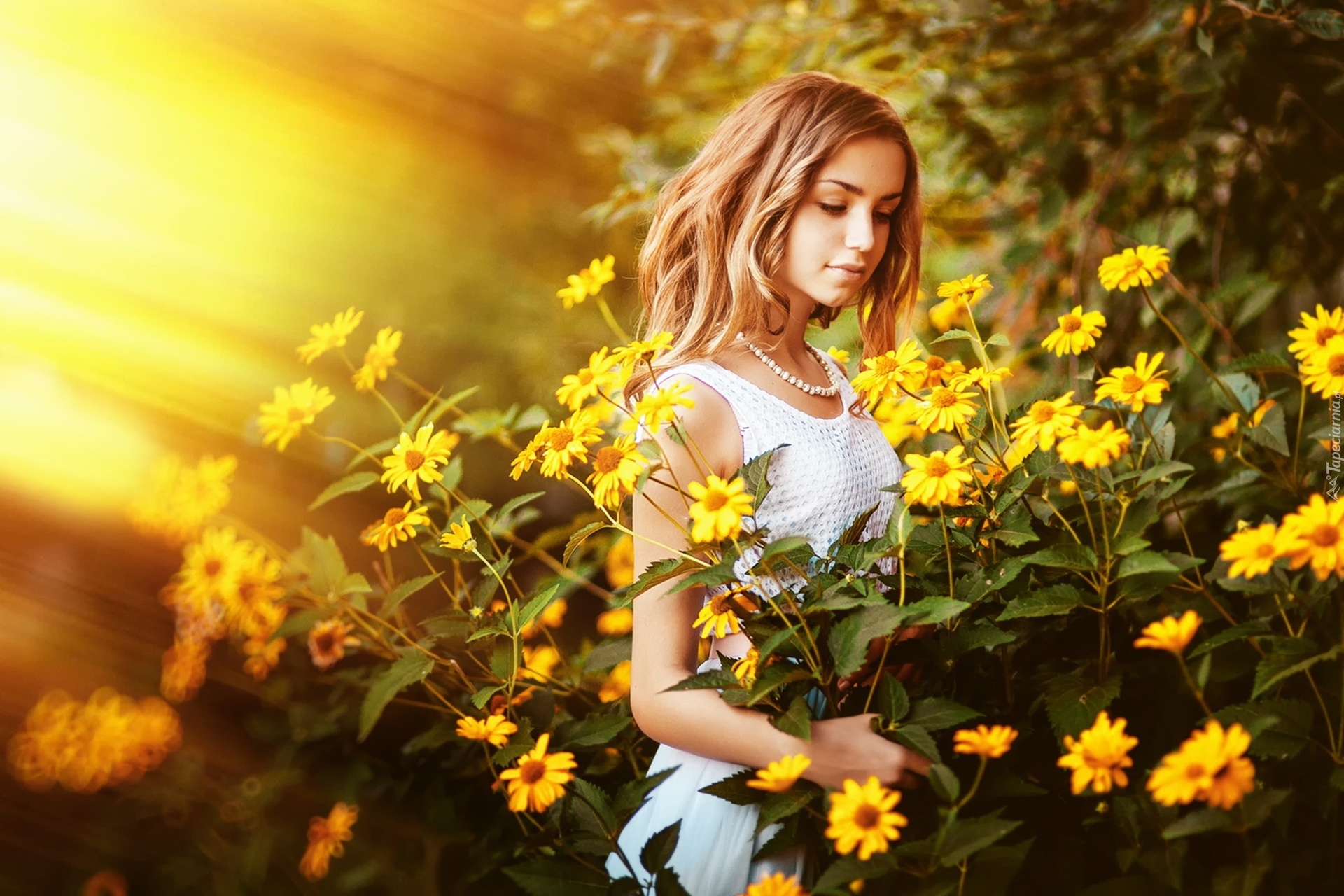 Kobieta, Żółte, Kwiaty, Rudbekia, Promienie, Słońca