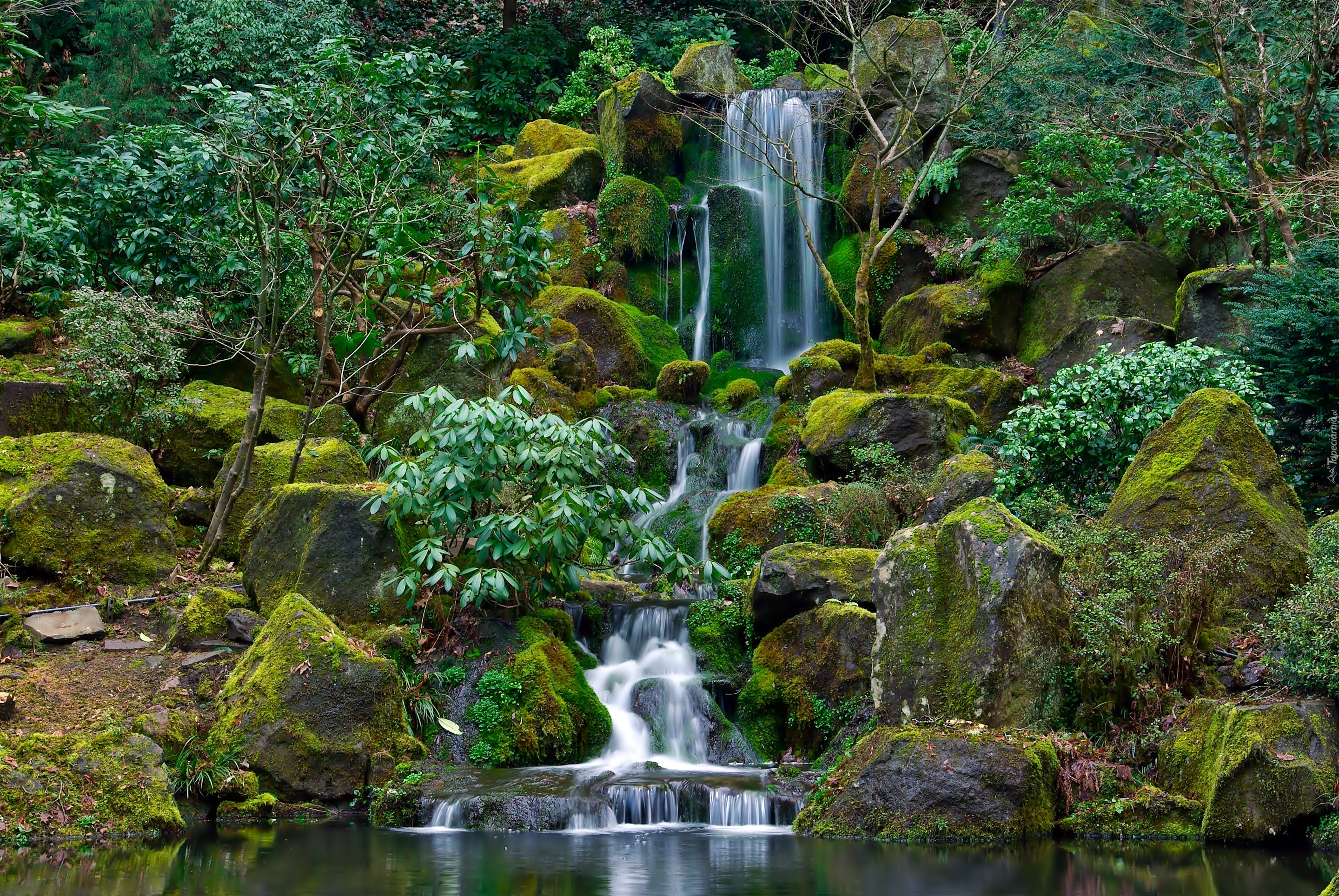 Ogród, Japoński, Portland, Oregon, Wodospad