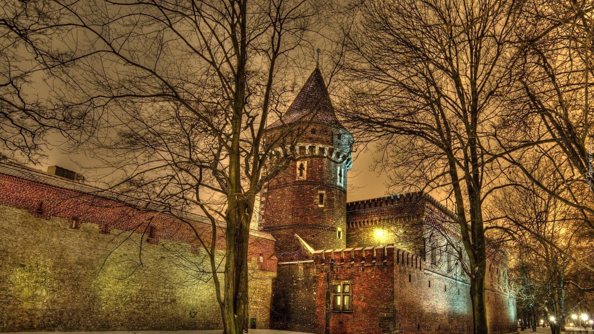 Zamek, Zima, Drzewa