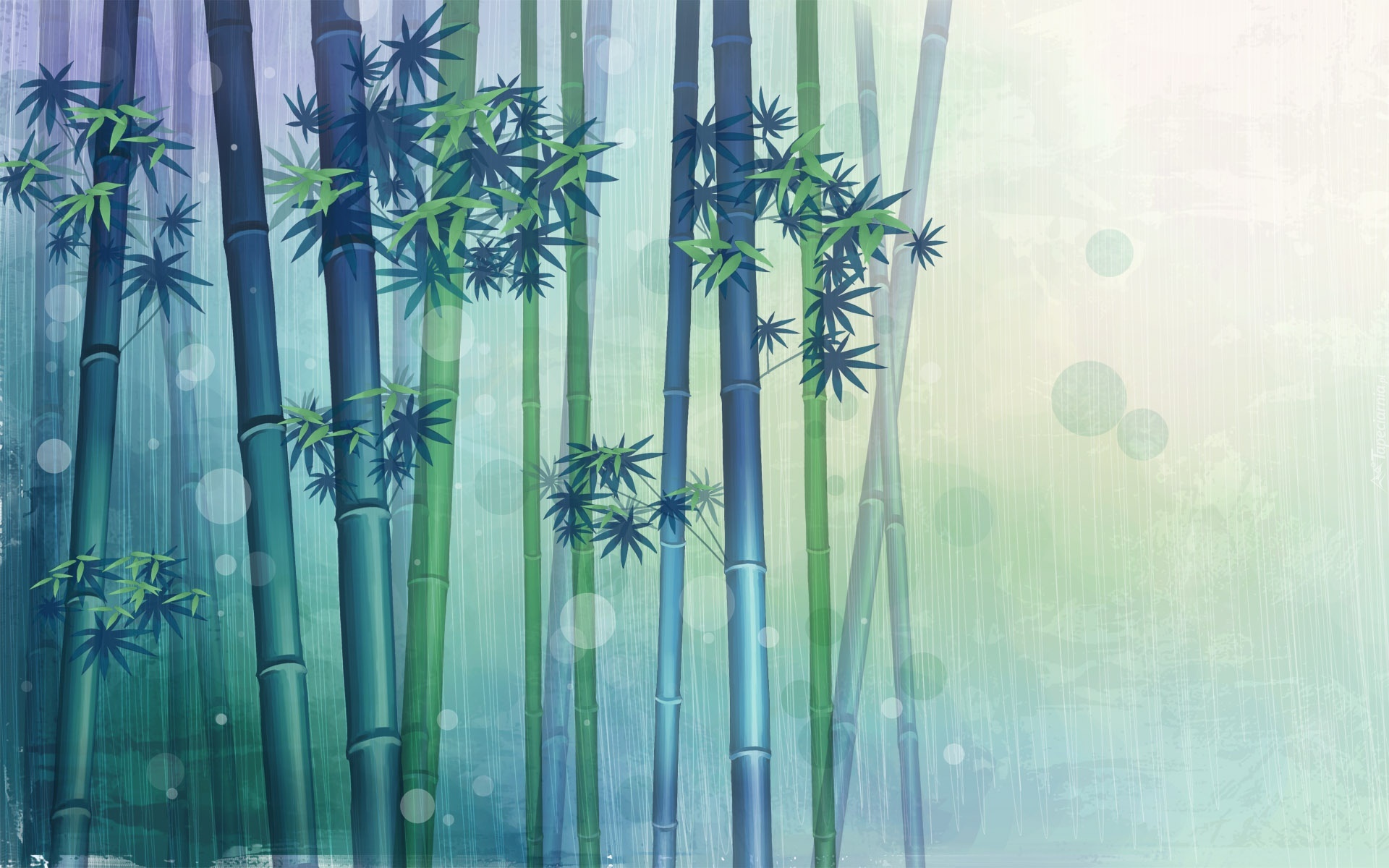Pędy, Bambus