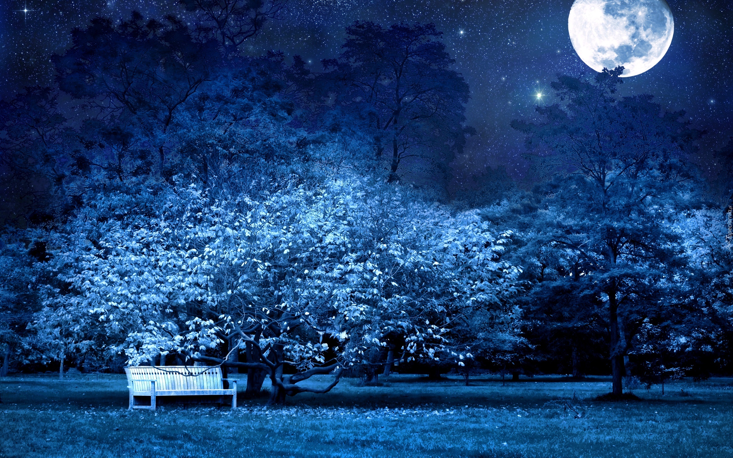 Park, Noc, Księżyc, Gwiazdy, Ławka