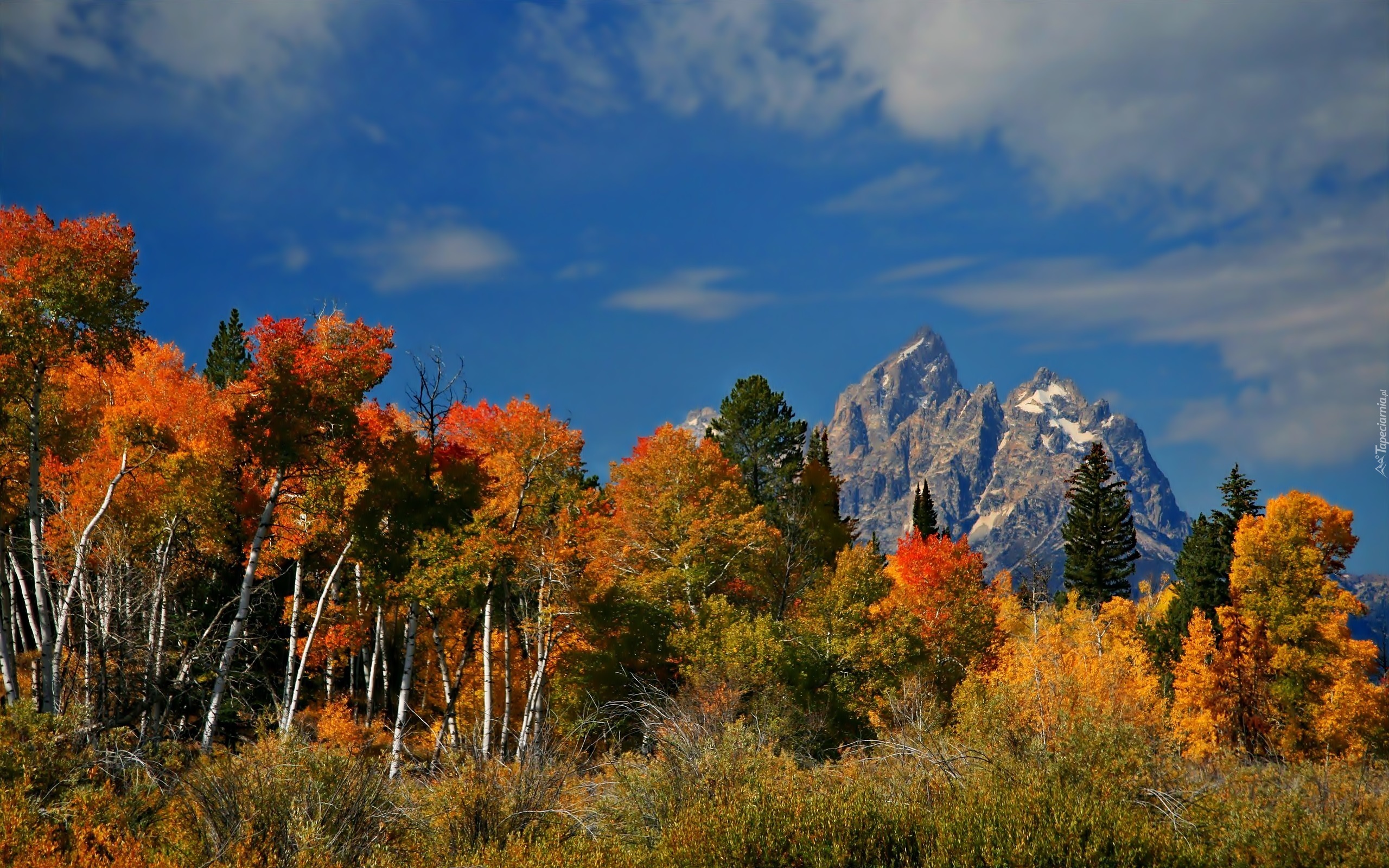 Jesień, Park, Narodowy, Wyoming