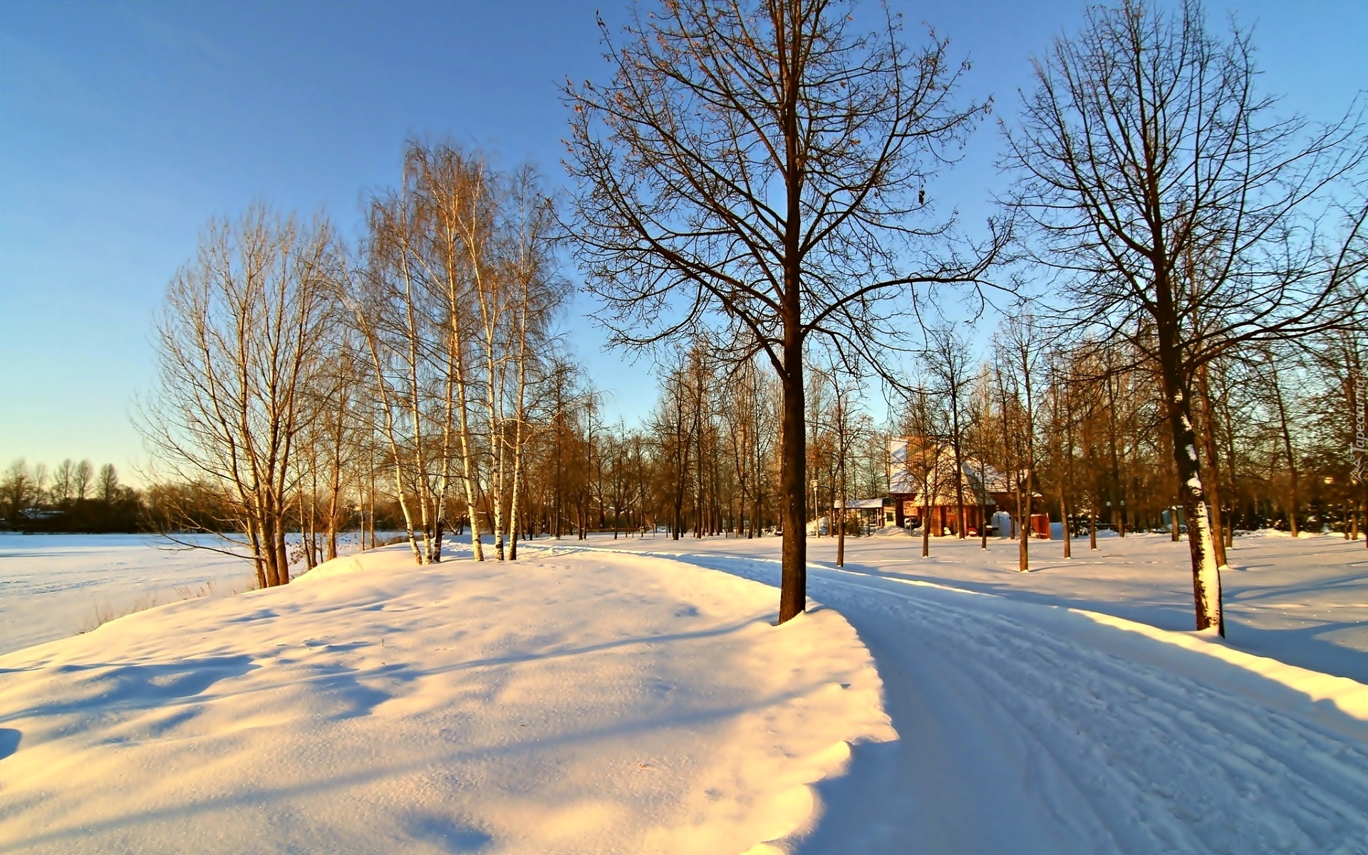 Zima, Śnieg, Droga, Drzewa, Domek