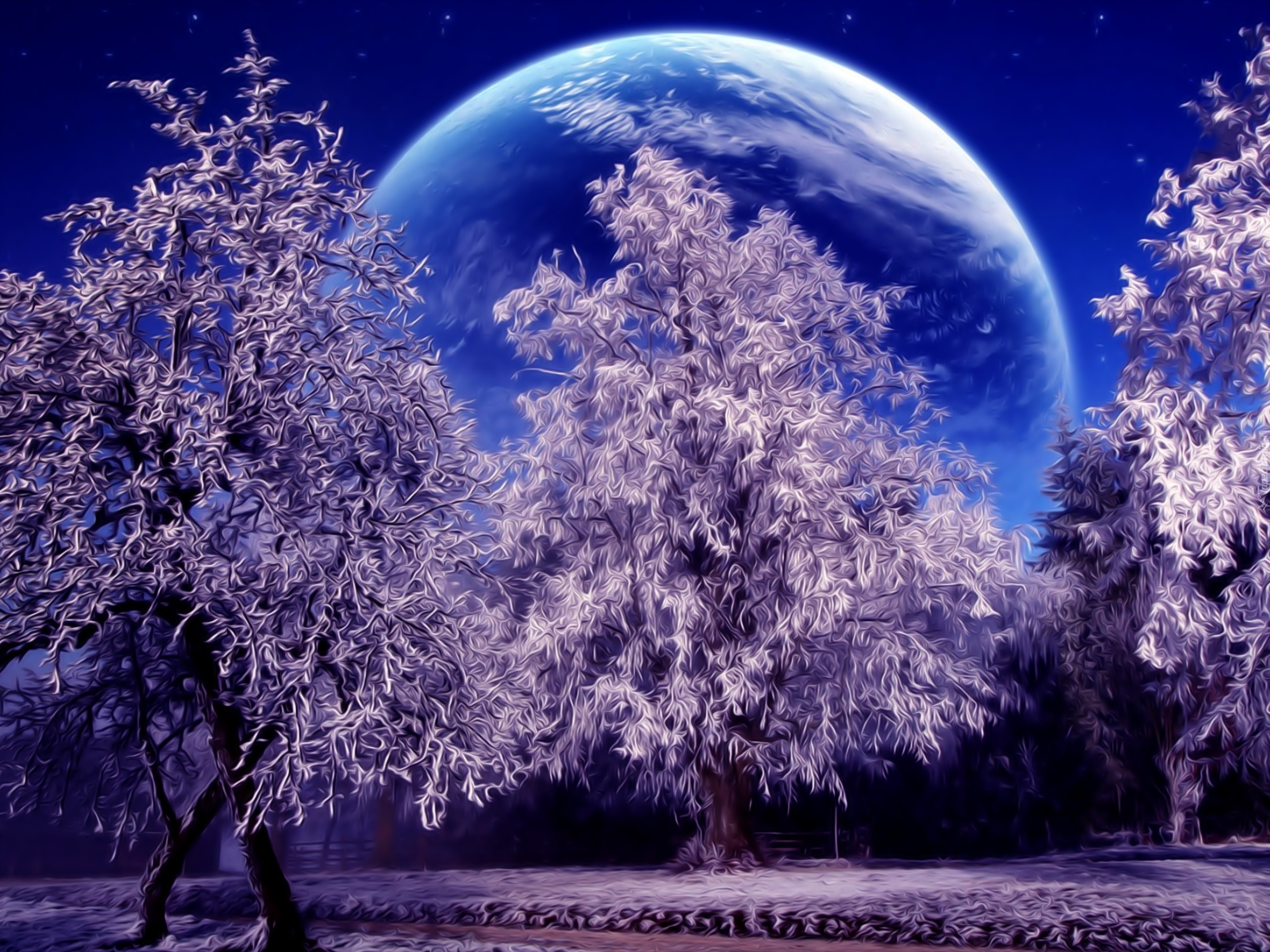 Drzewa, Śnieg, Księżyc, Grafika